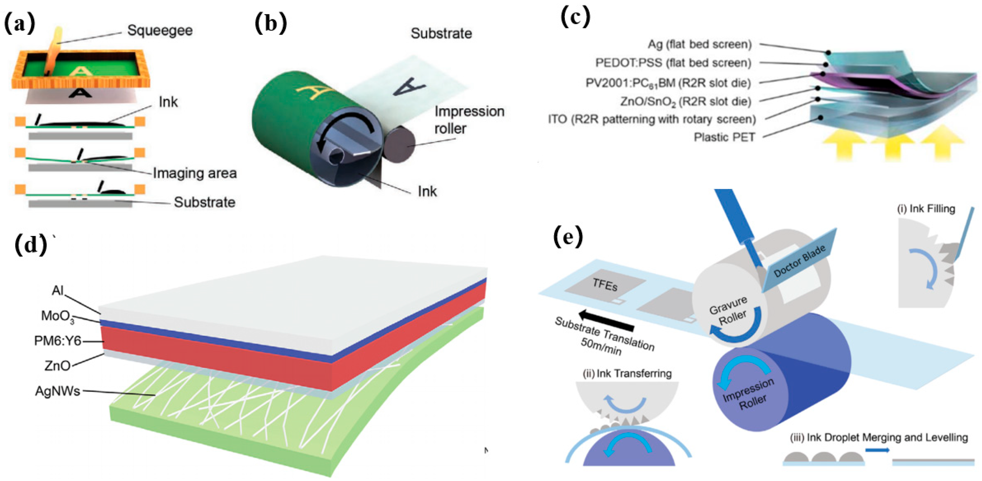 Catalysts 13 00156 g011