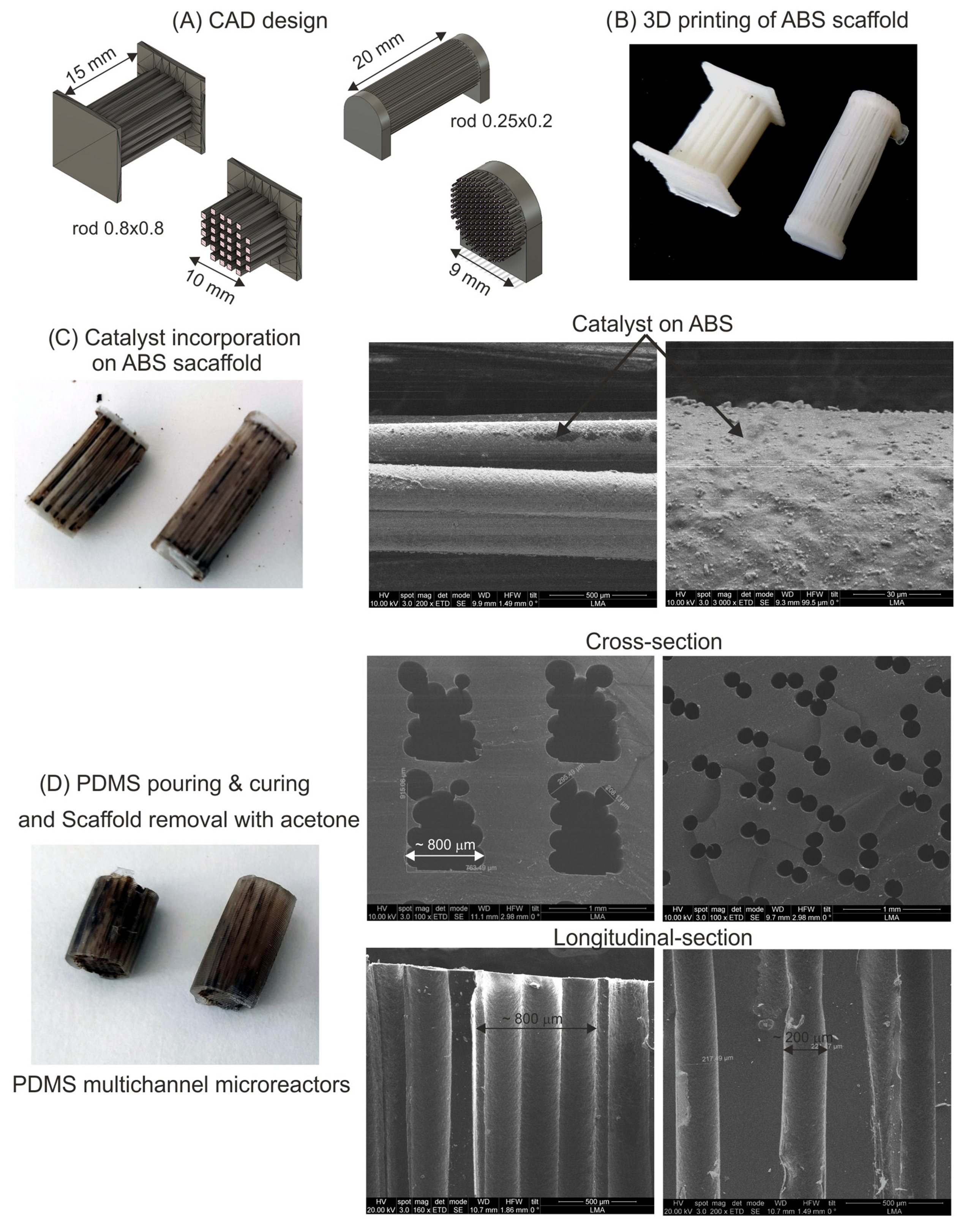 Catalysts 13 00157 g001