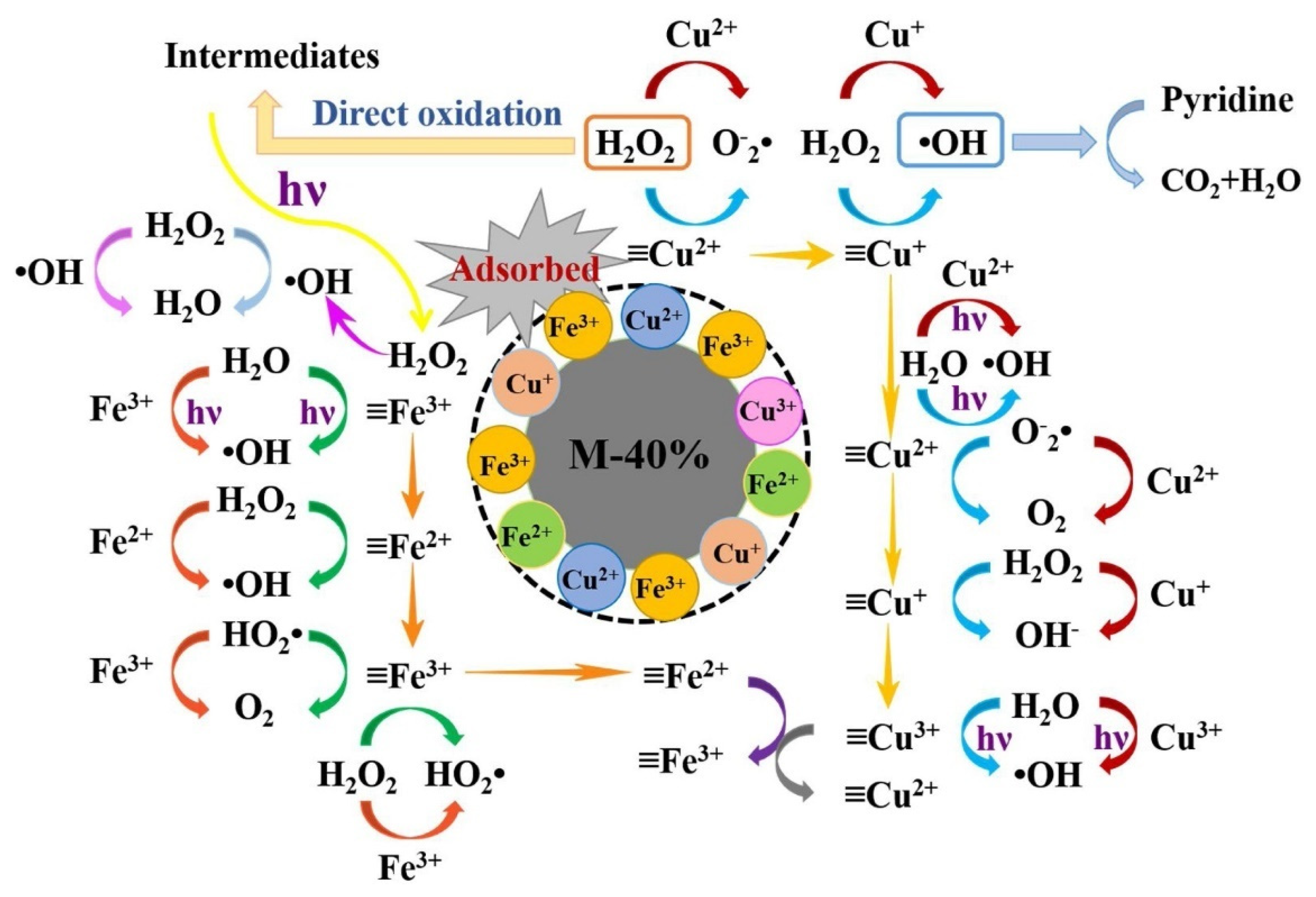 Catalysts 13 00159 g002