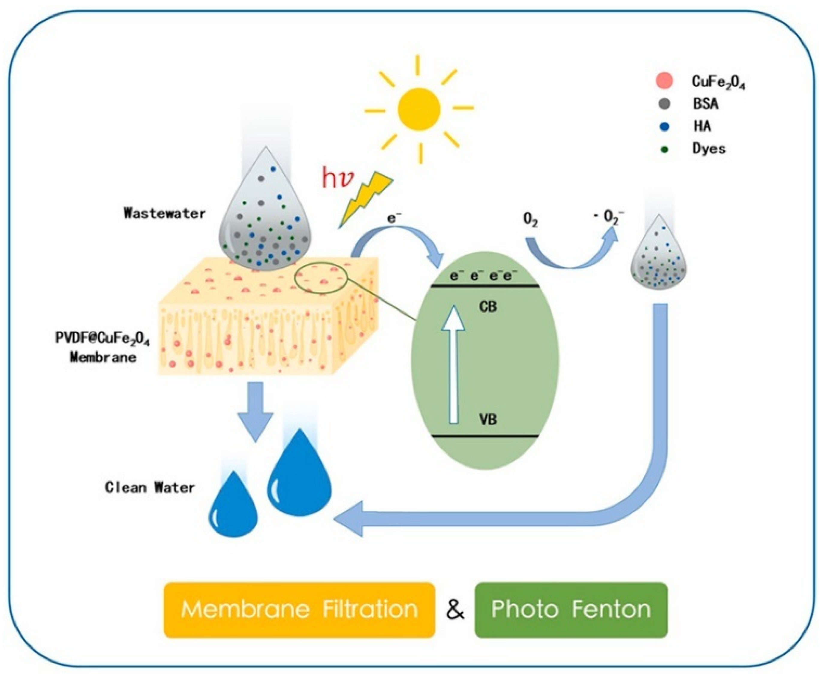 Catalysts 13 00159 g003
