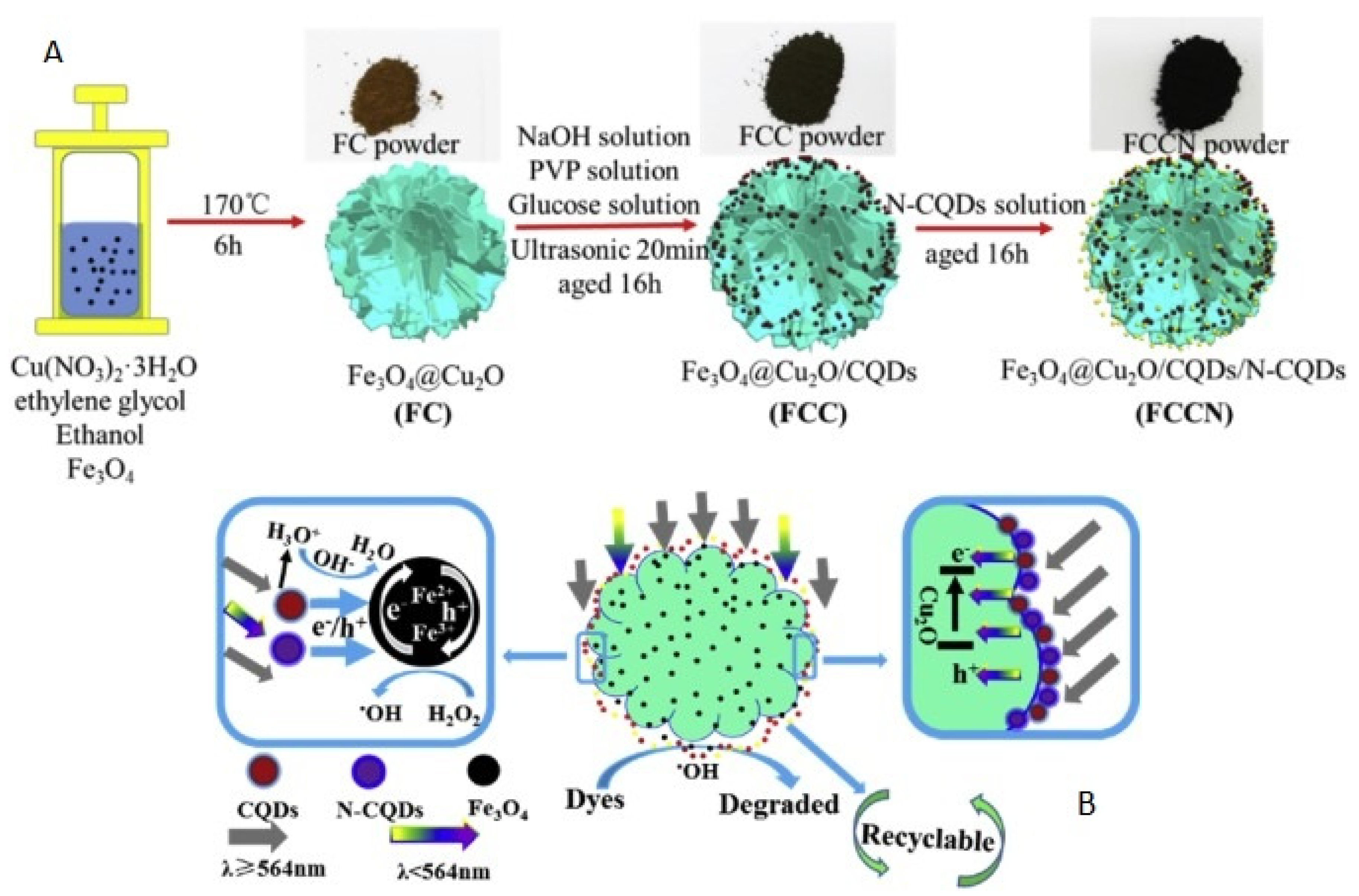 Catalysts 13 00159 g007