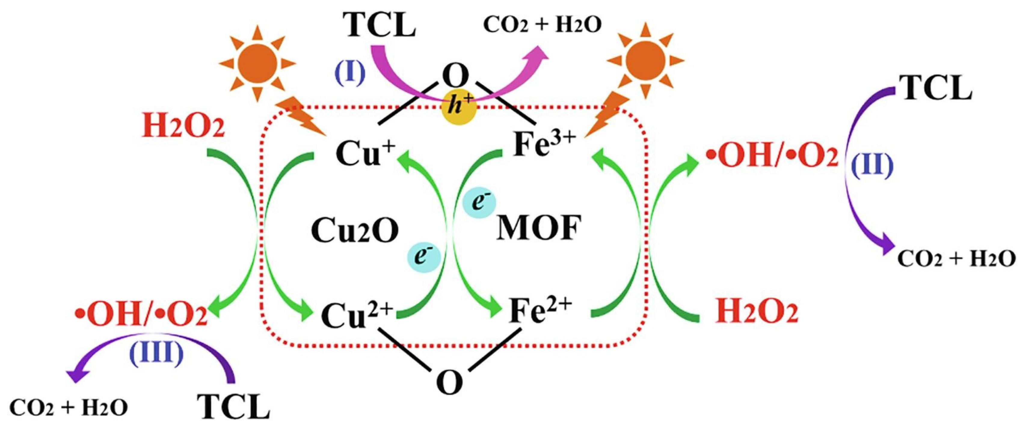 Catalysts 13 00159 g010
