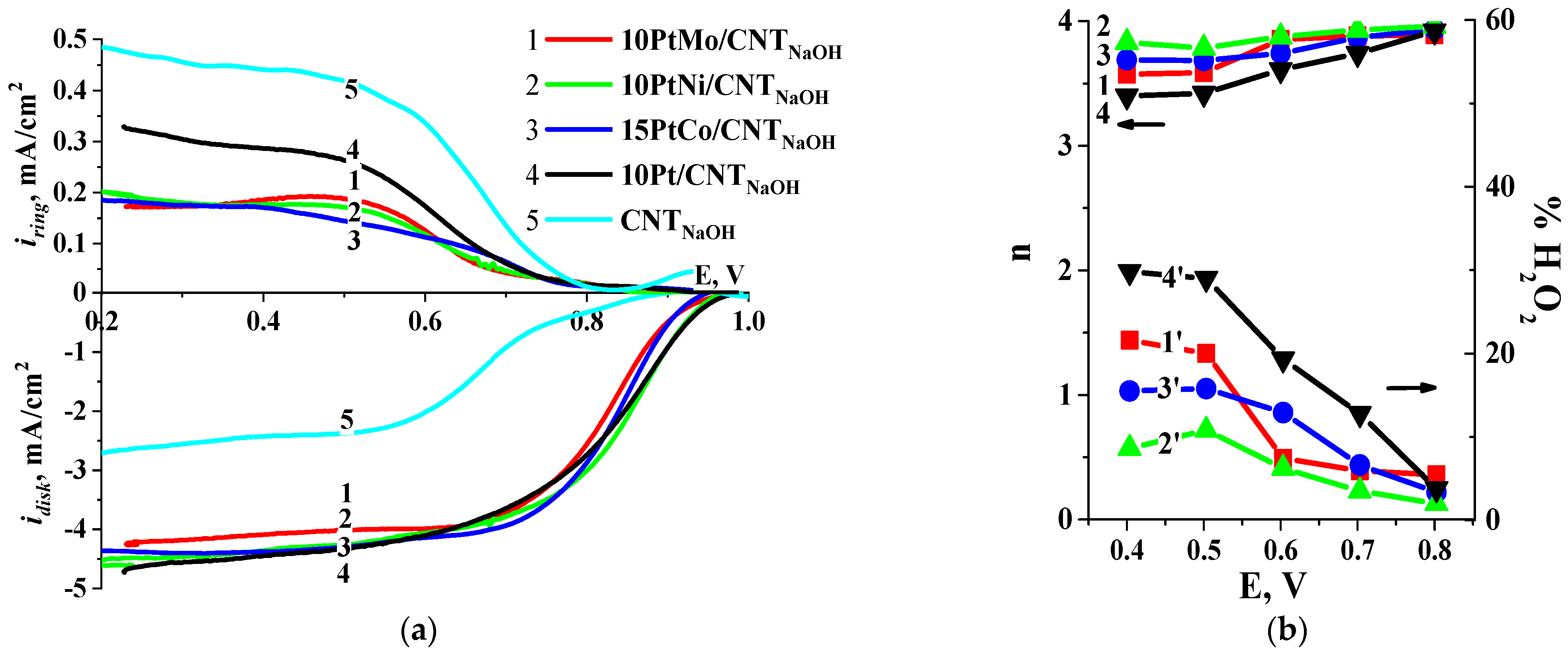 Catalysts 13 00161 g006