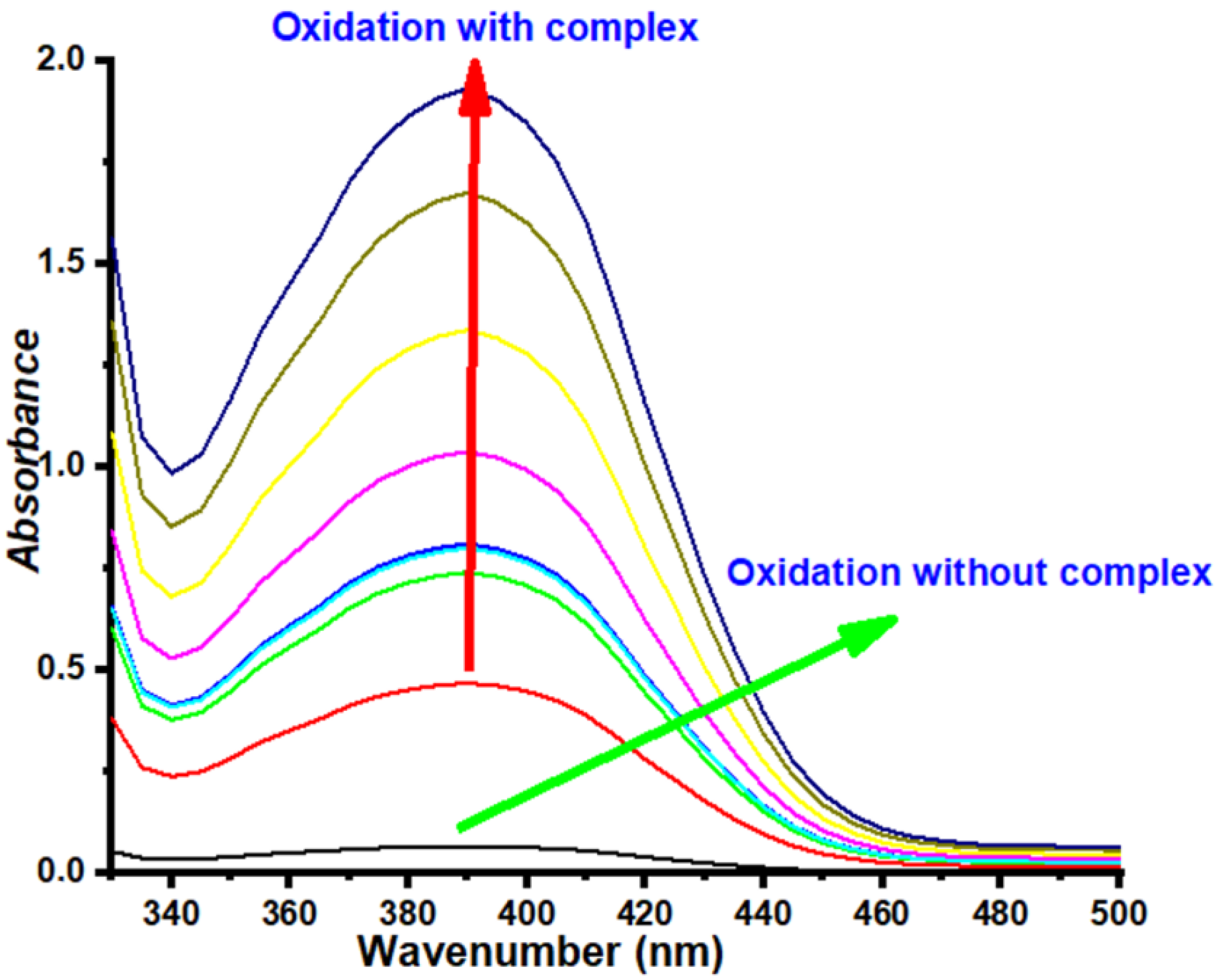 Catalysts 13 00162 g001