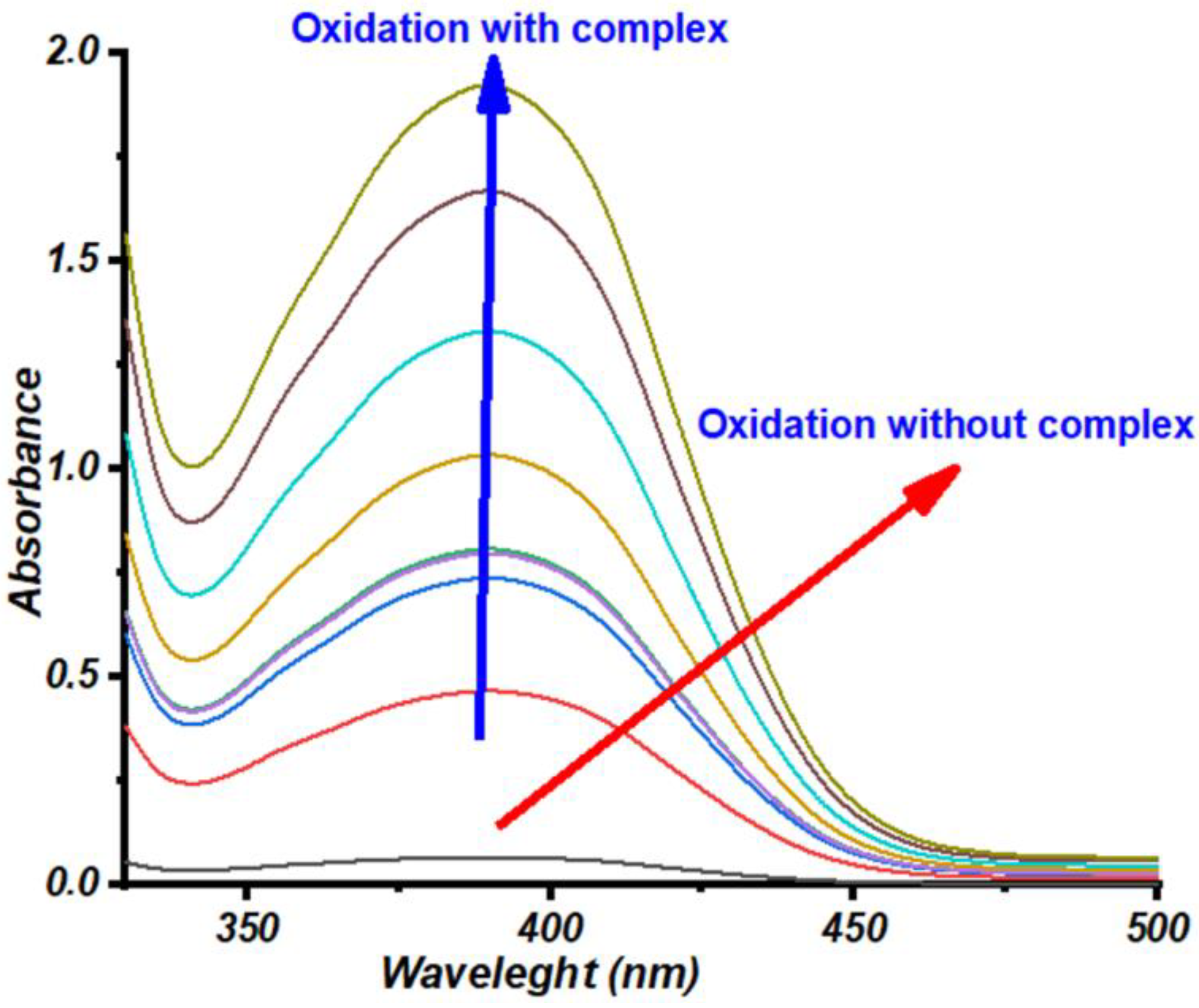 Catalysts 13 00162 g002