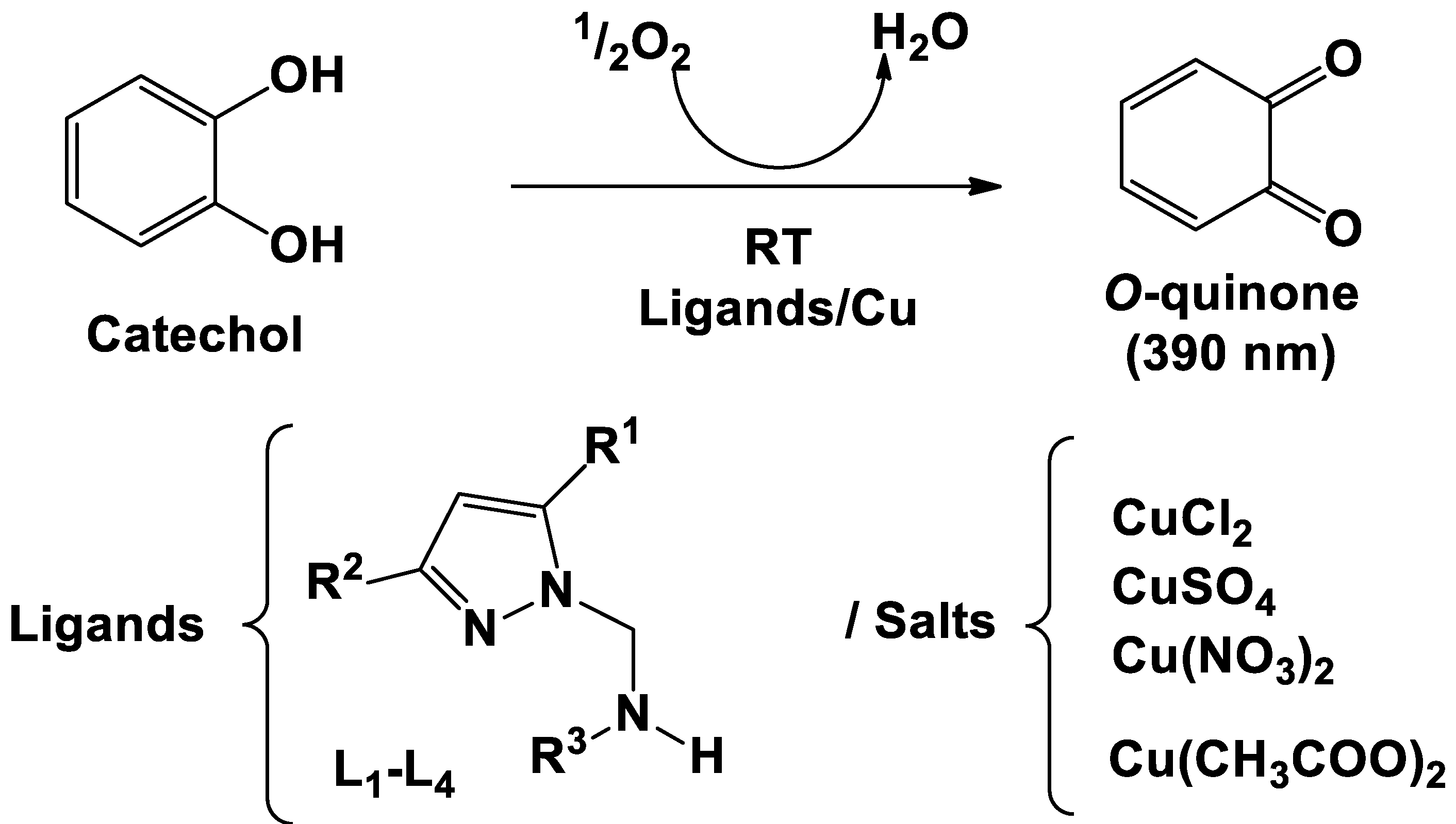 Catalysts 13 00162 sch002