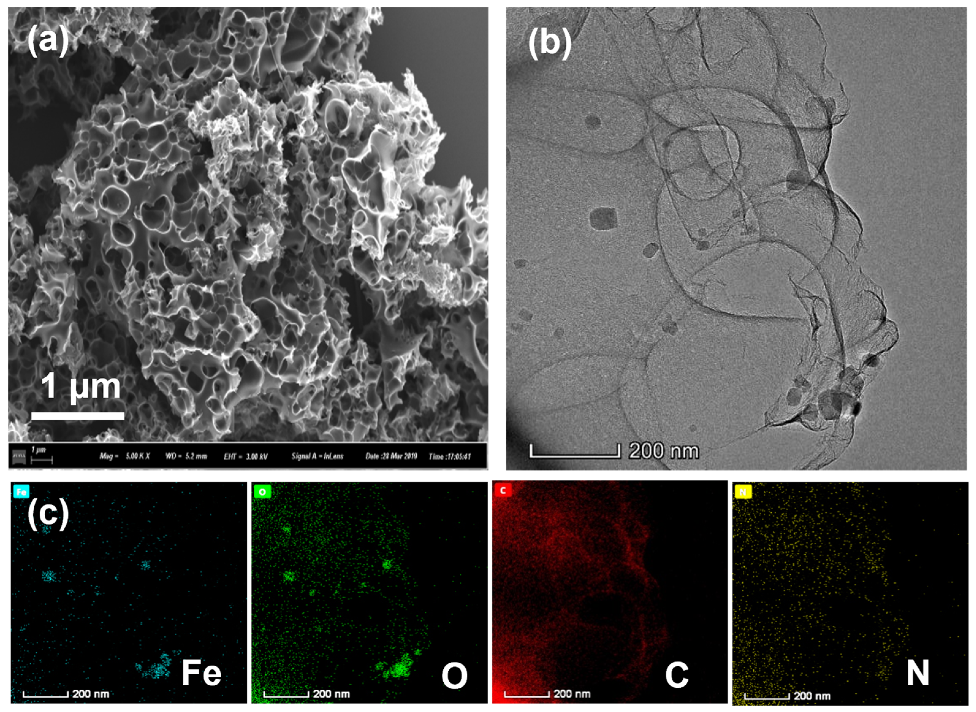 Catalysts 13 00166 g002