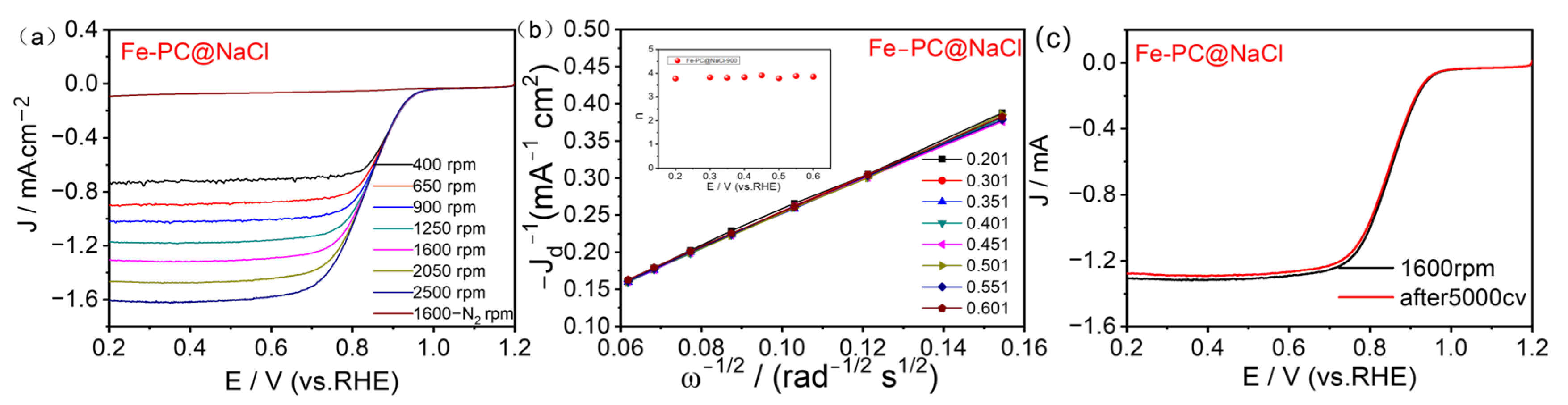Catalysts 13 00166 g007