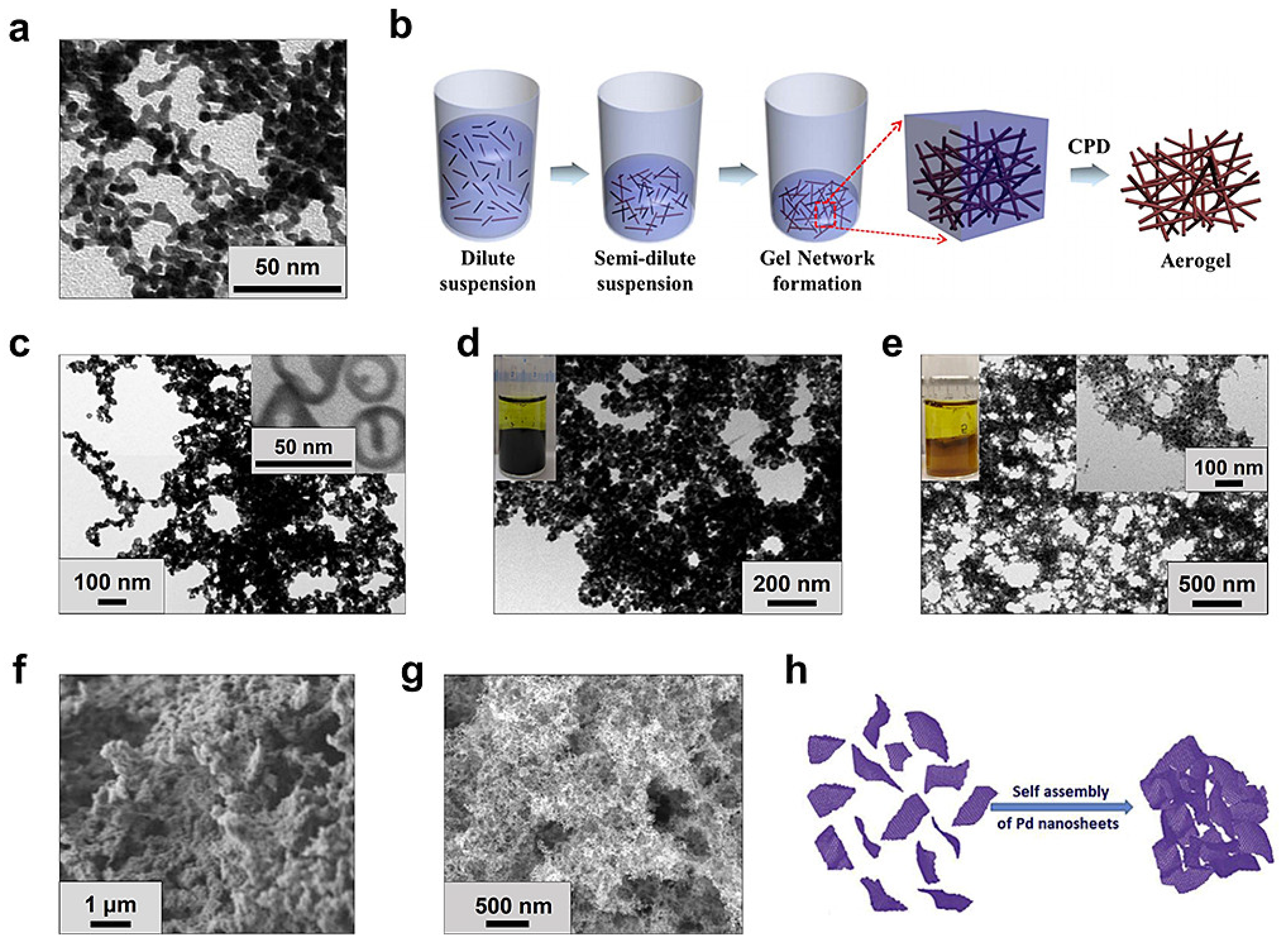 Catalysts 13 00167 g001
