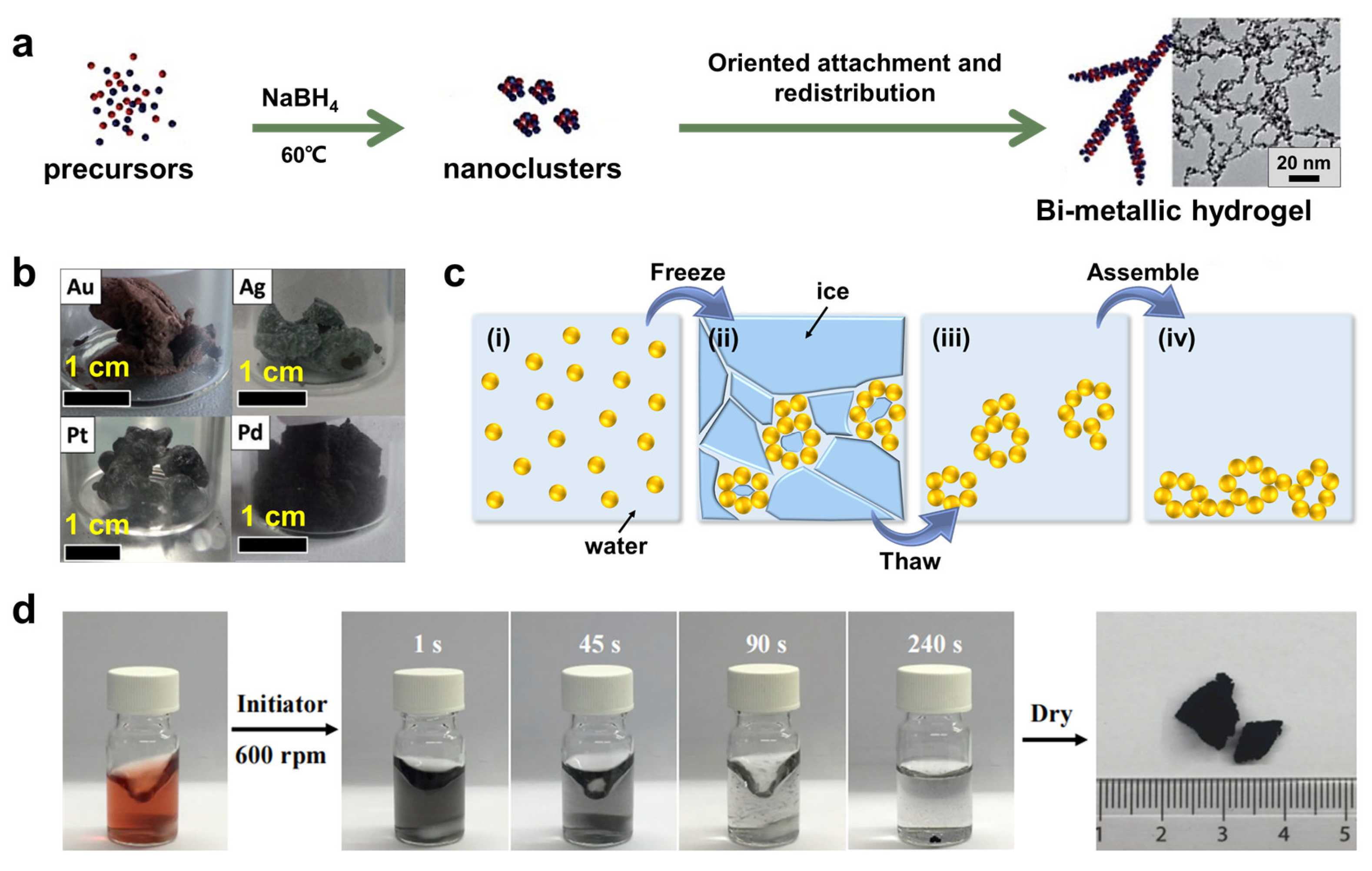Catalysts 13 00167 g002