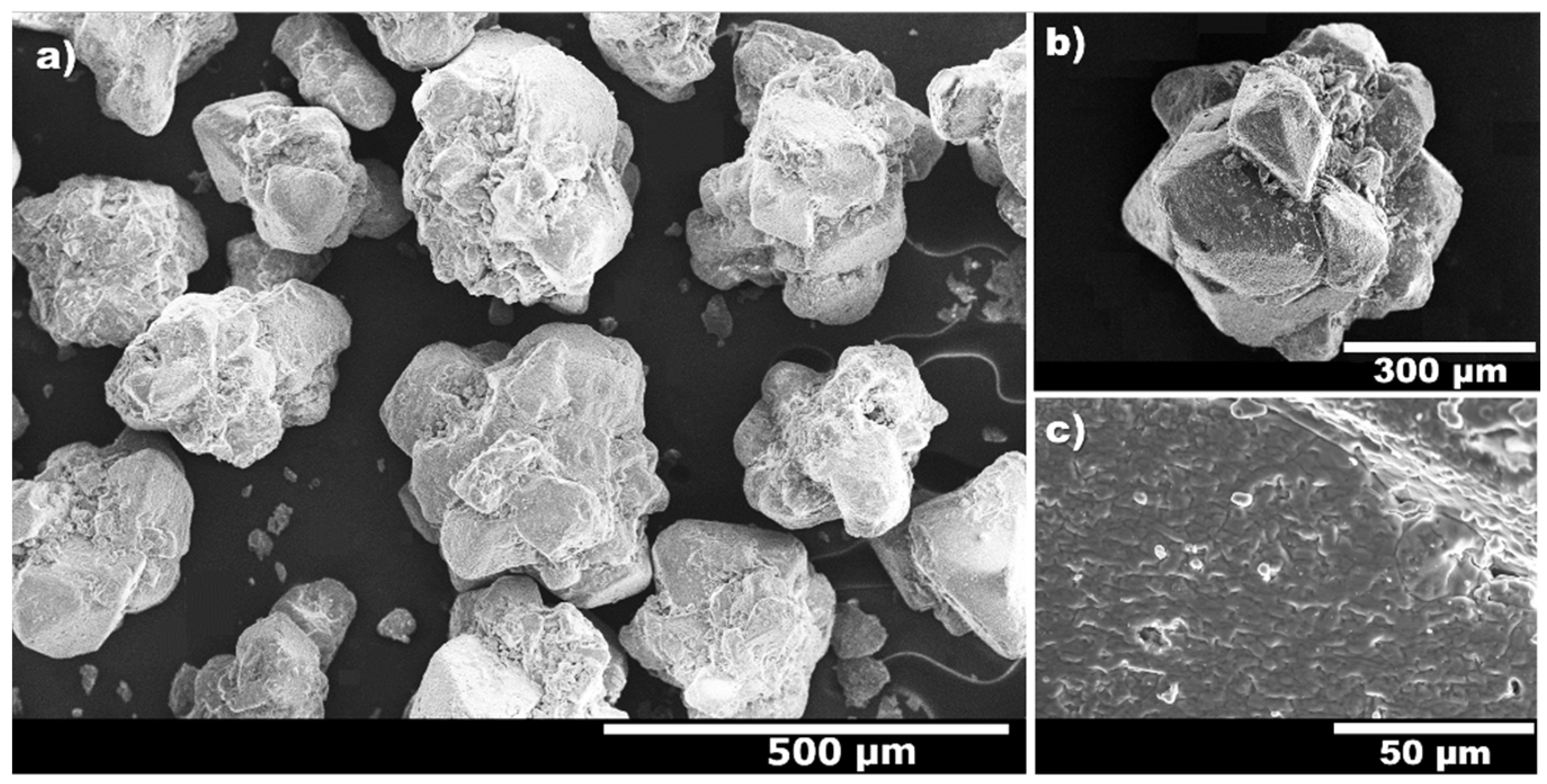 Catalysts 13 00169 g004