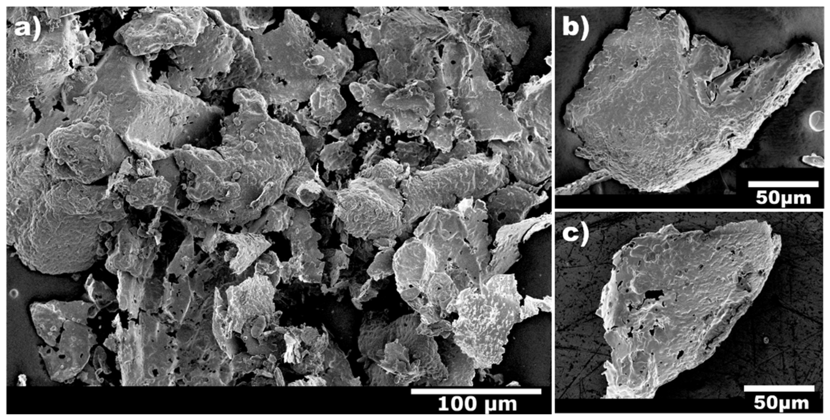 Catalysts 13 00169 g005