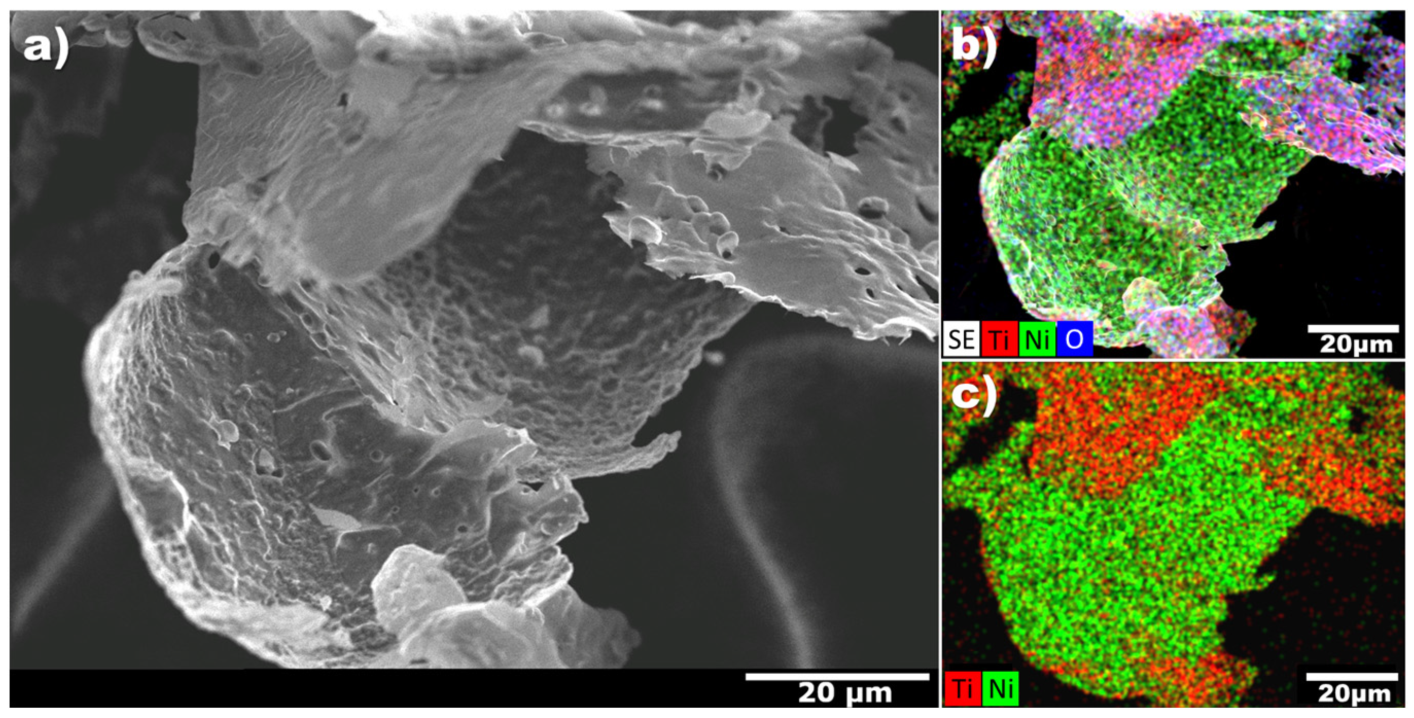 Catalysts 13 00169 g006
