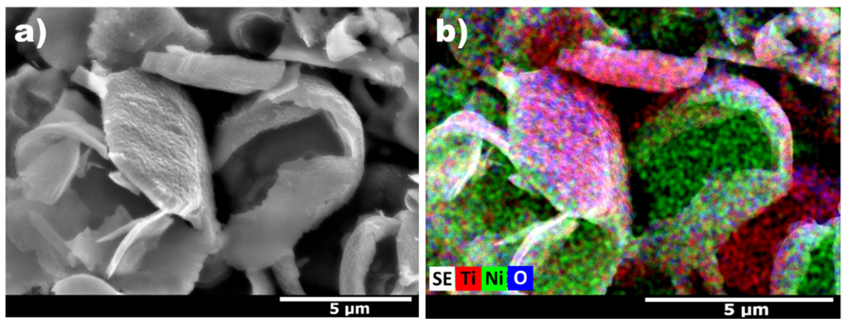 Catalysts 13 00169 g009