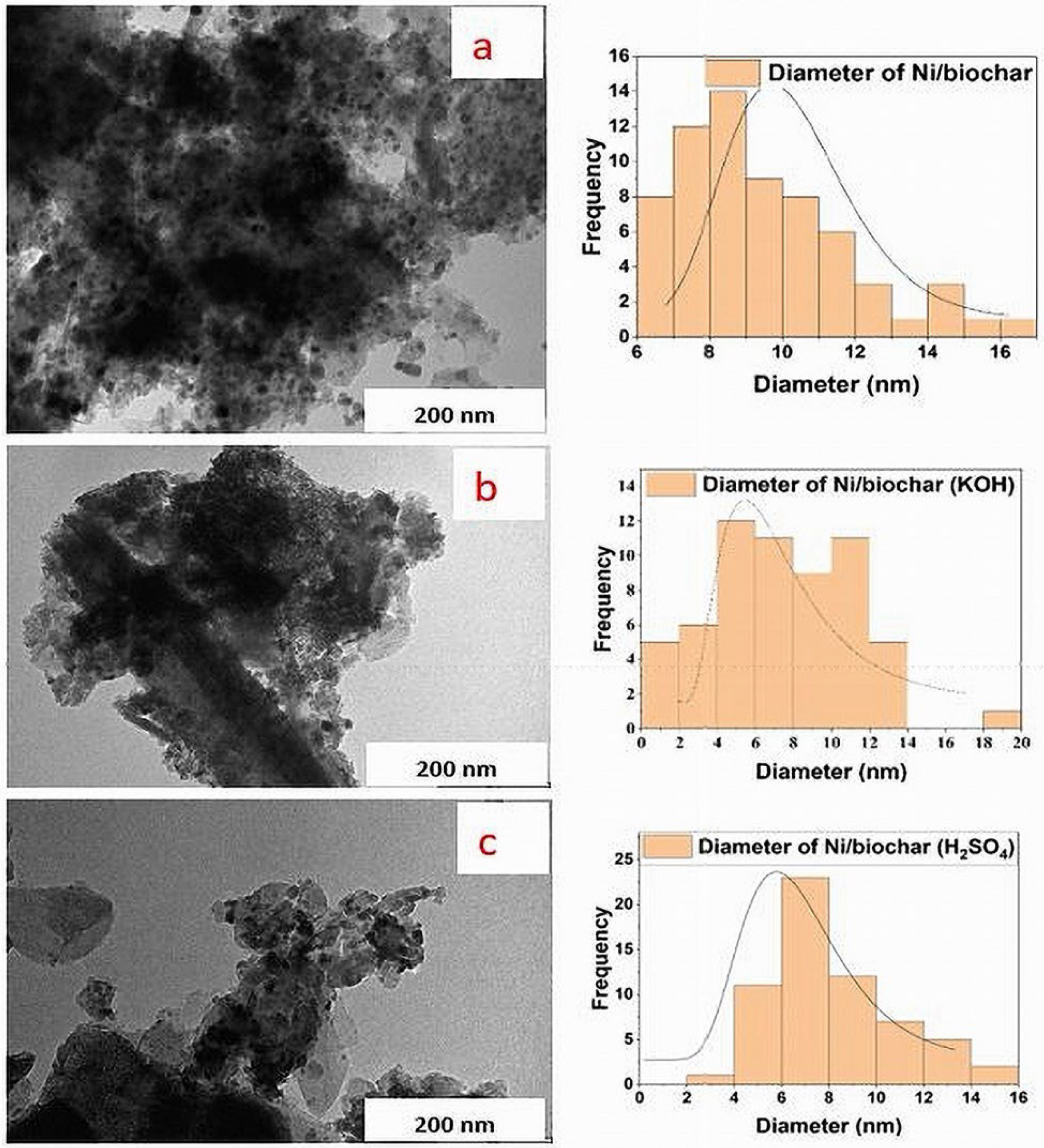 Catalysts 13 00171 g003