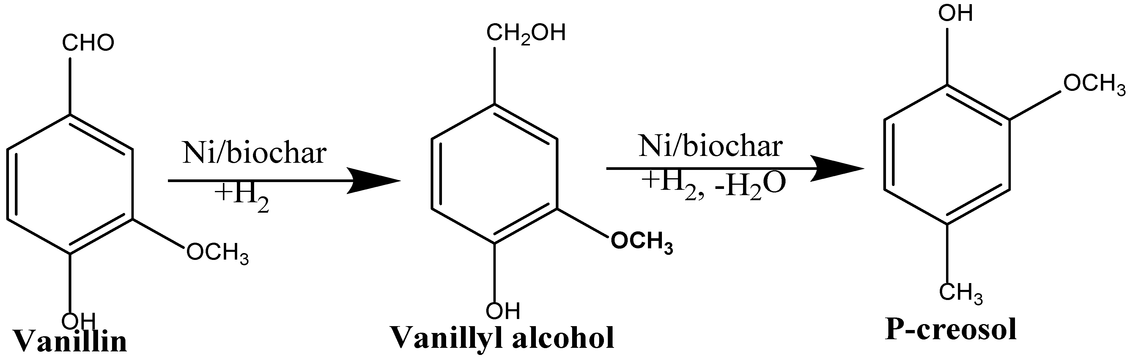 Catalysts 13 00171 sch001