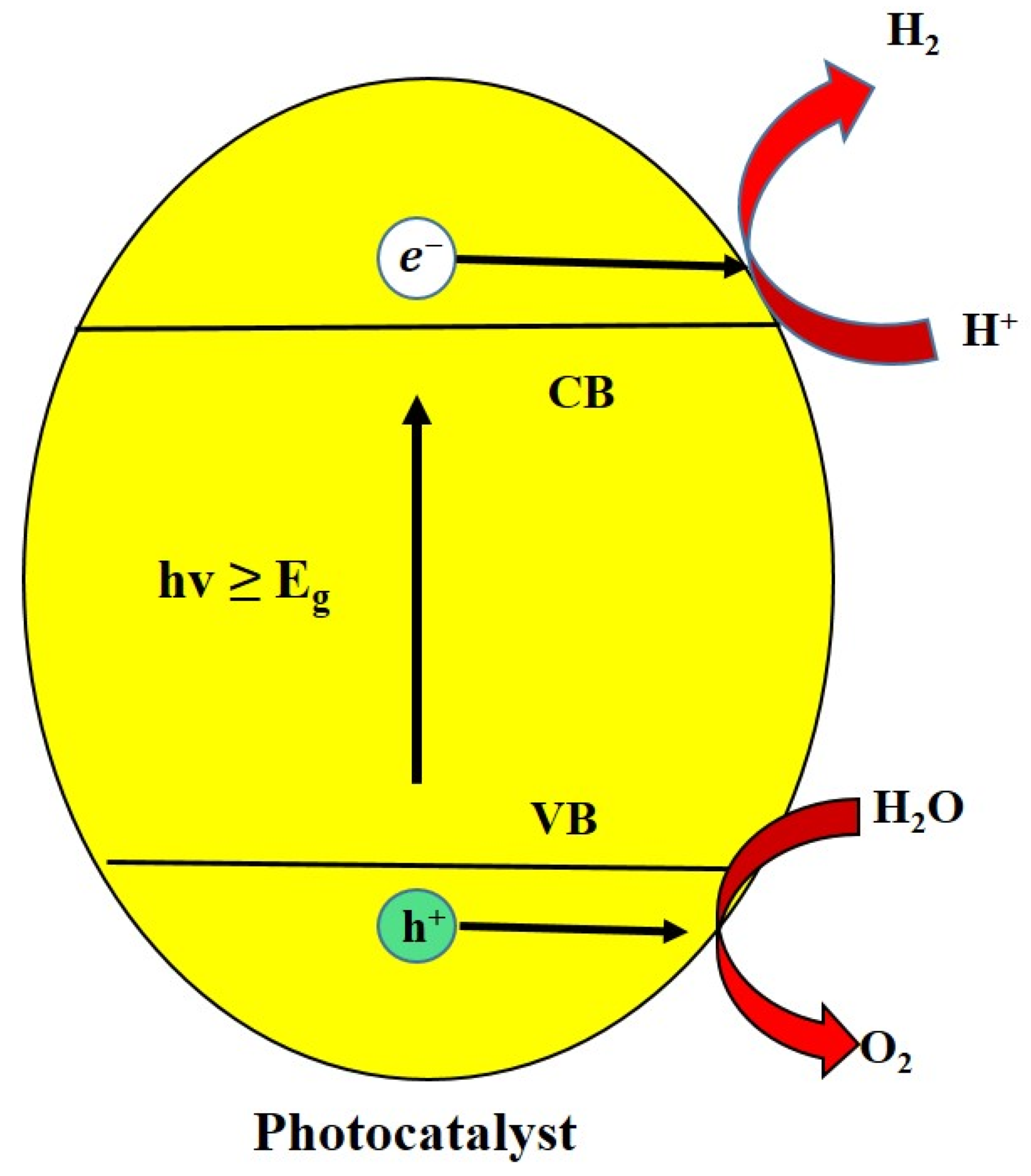Catalysts 13 00173 g001