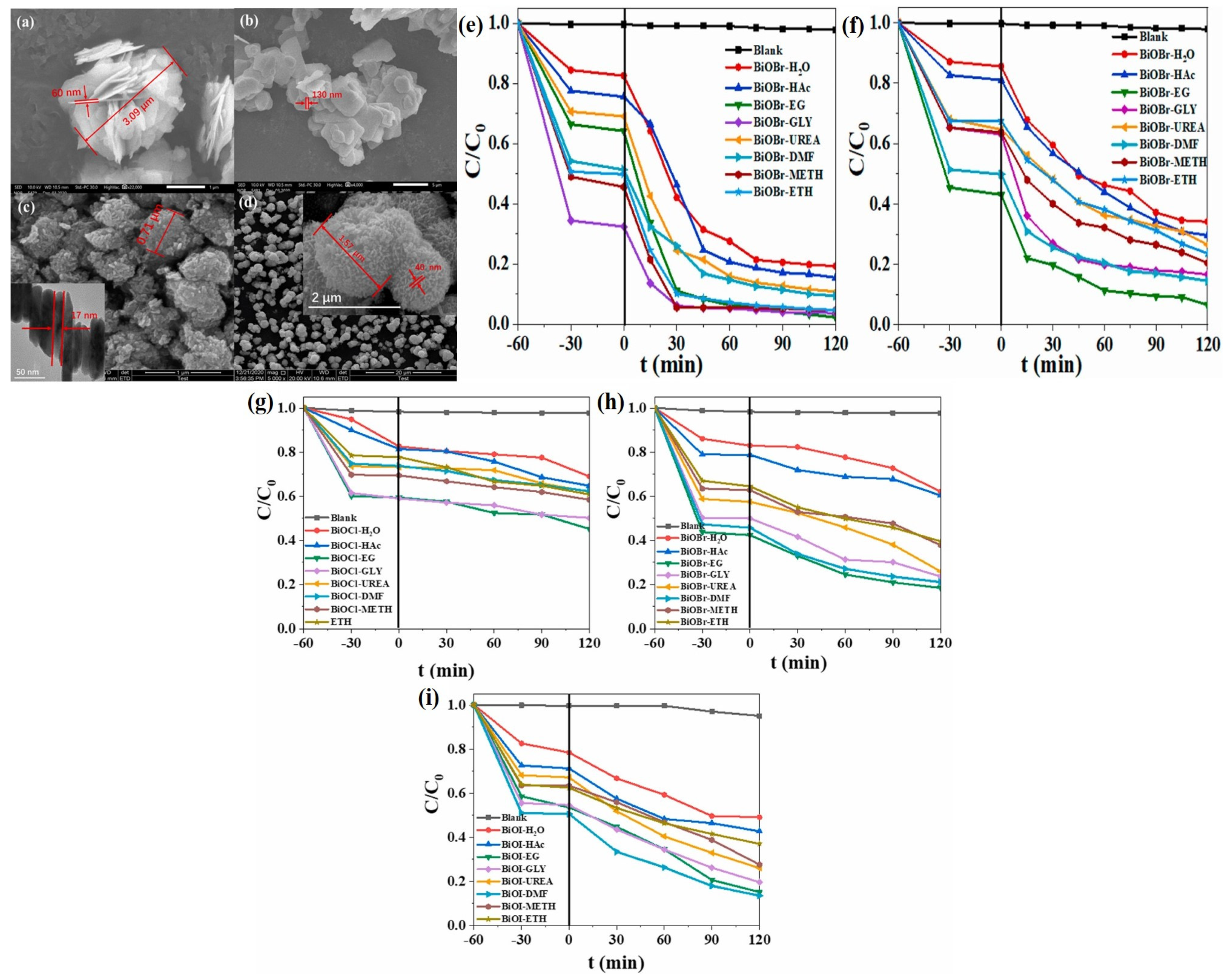 Catalysts 13 00173 g009