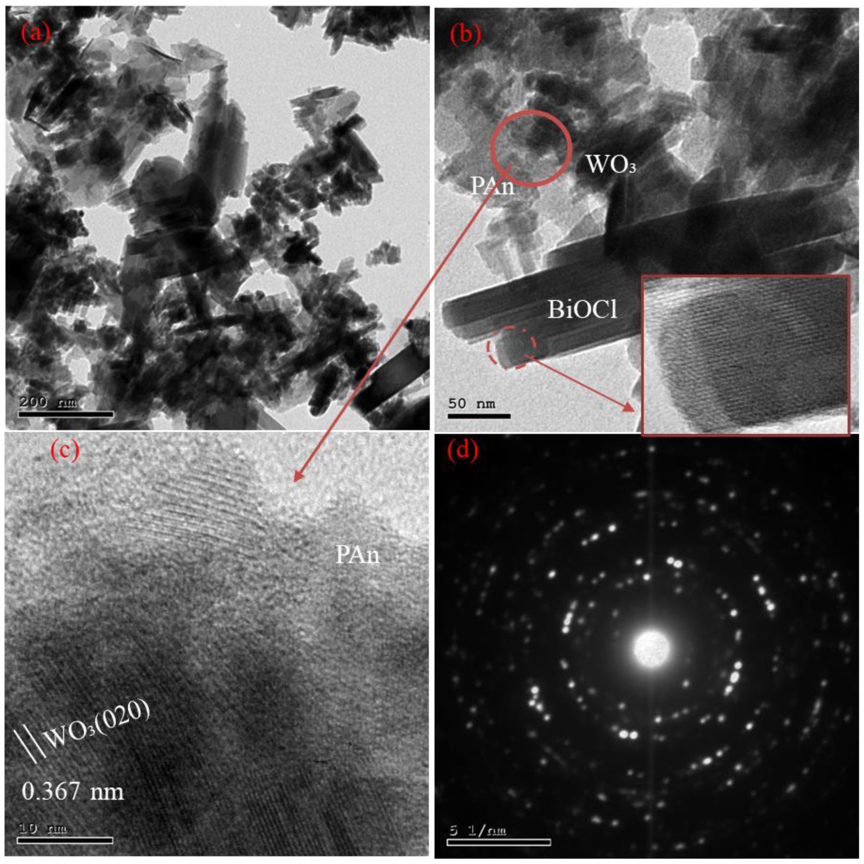 Catalysts 13 00175 g002 Catalysts 13 00175 g002