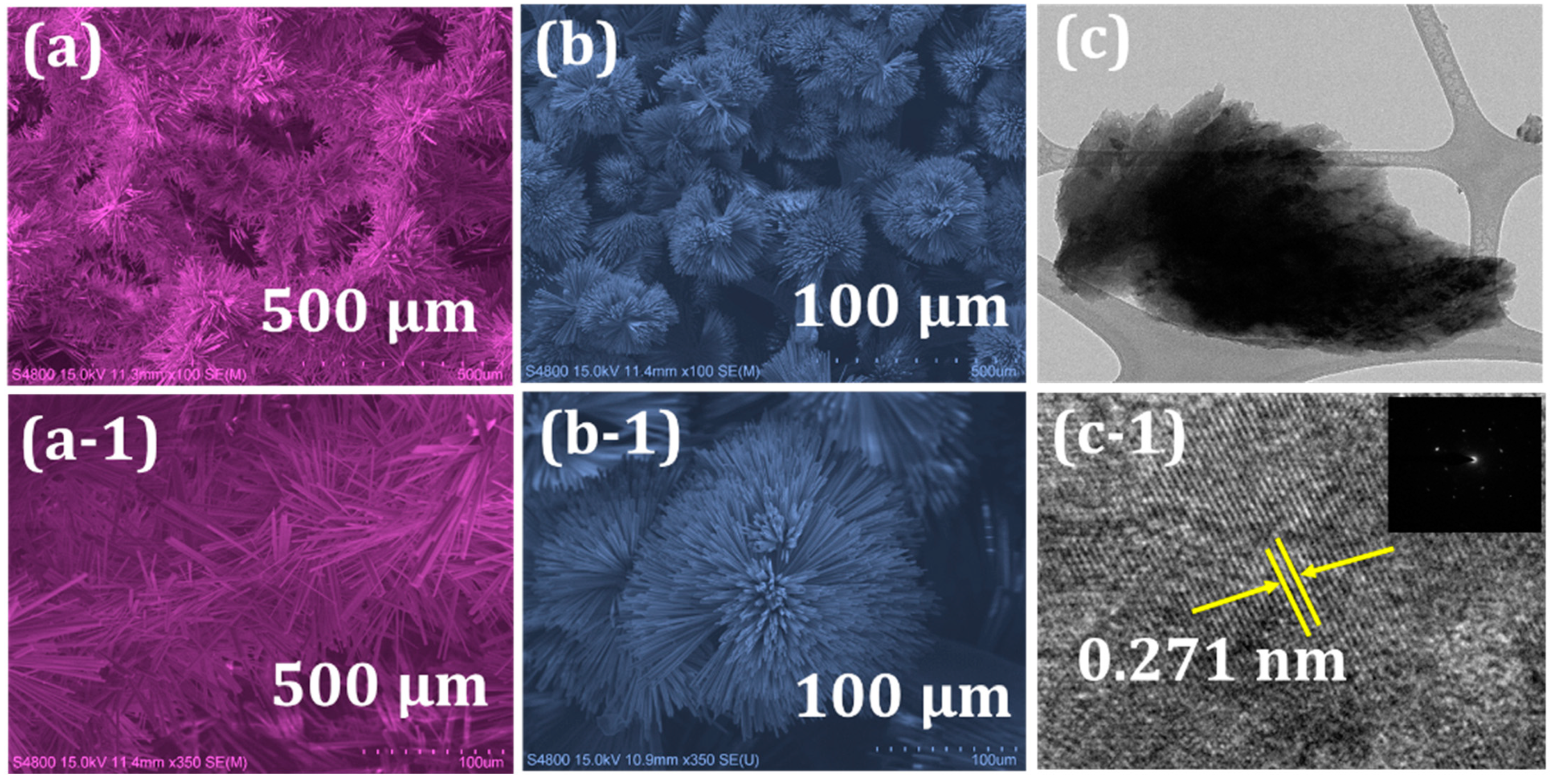 Catalysts 13 00177 g001