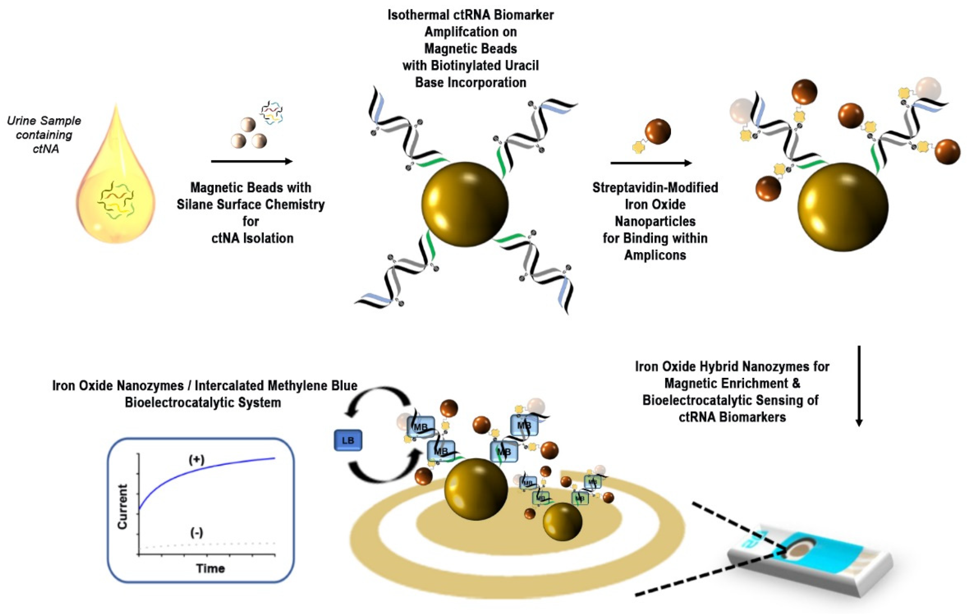 Catalysts 13 00178 g001