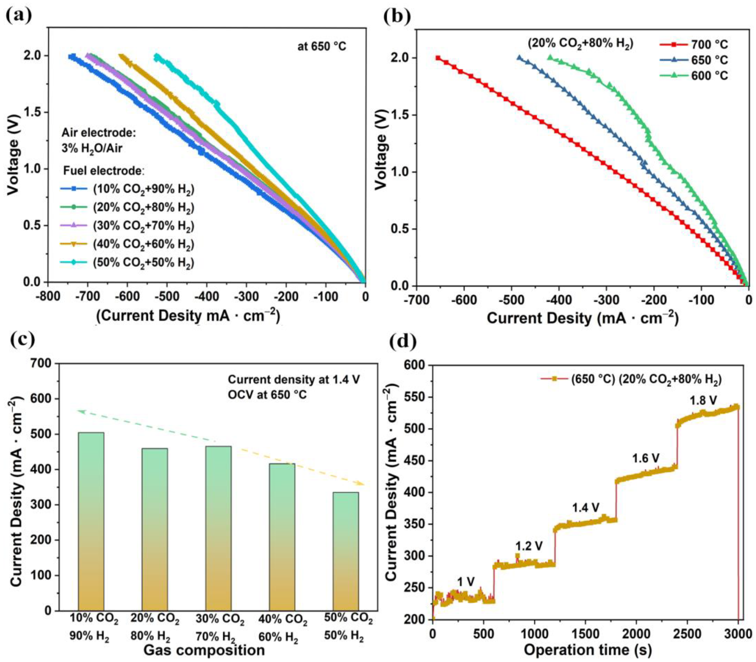 Catalysts 13 00182 g004
