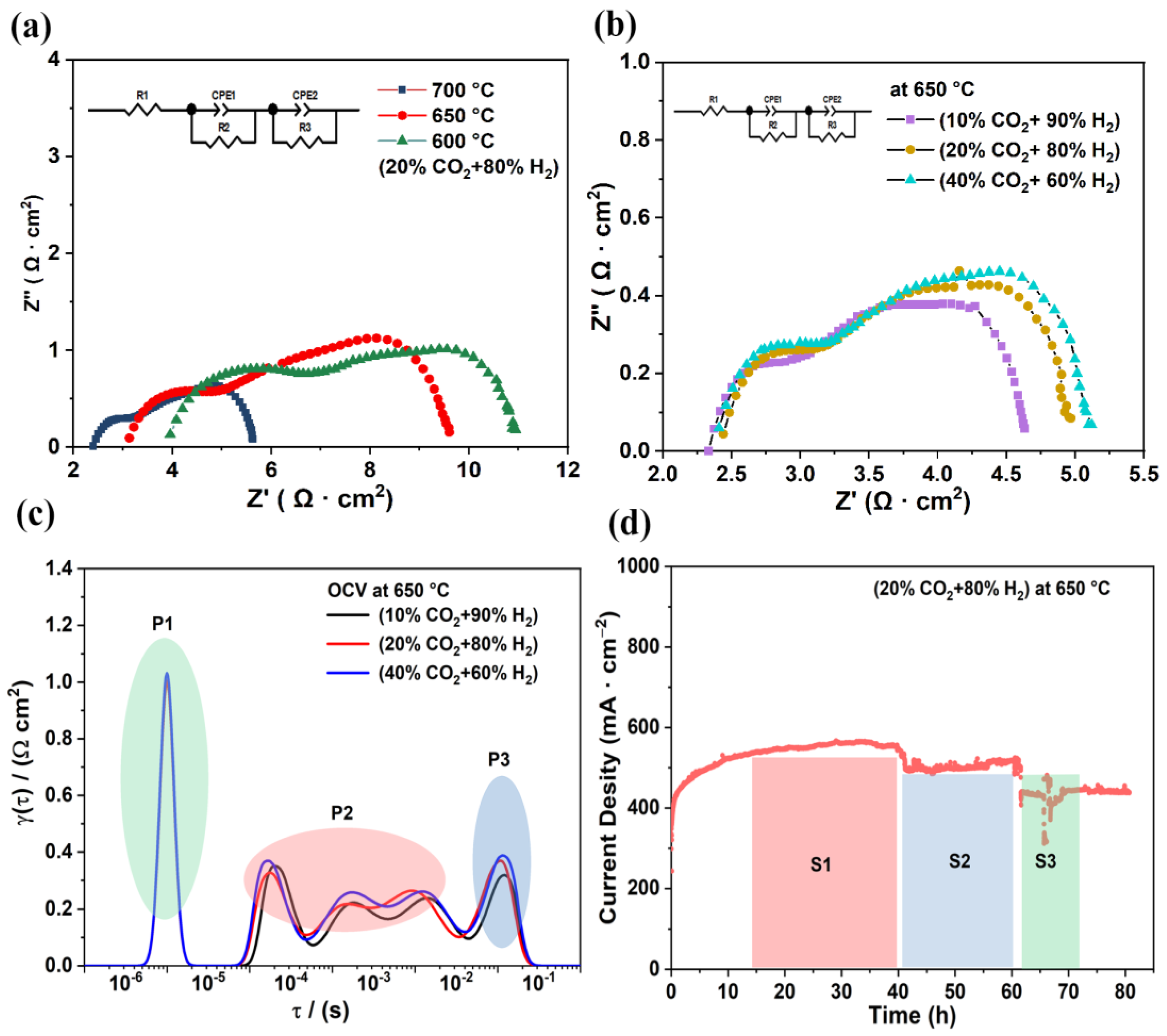 Catalysts 13 00182 g005