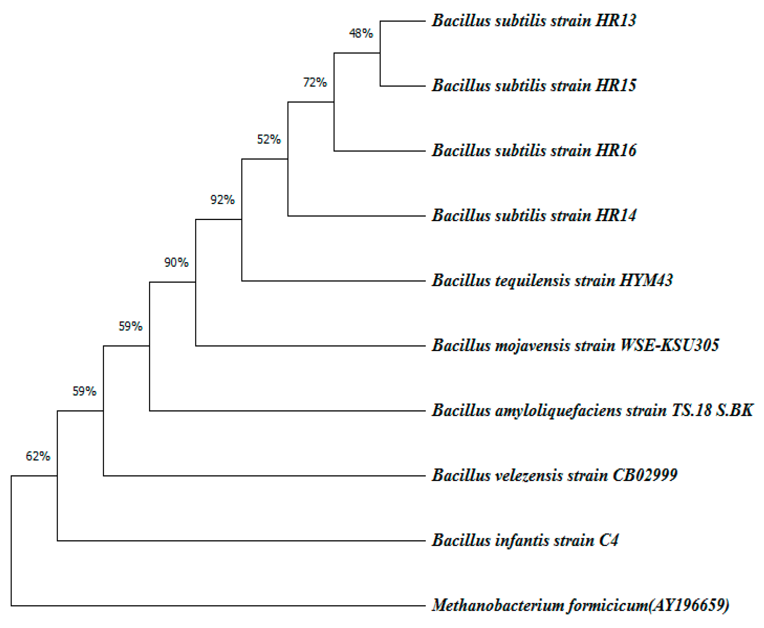 Catalysts 13 00183 g003