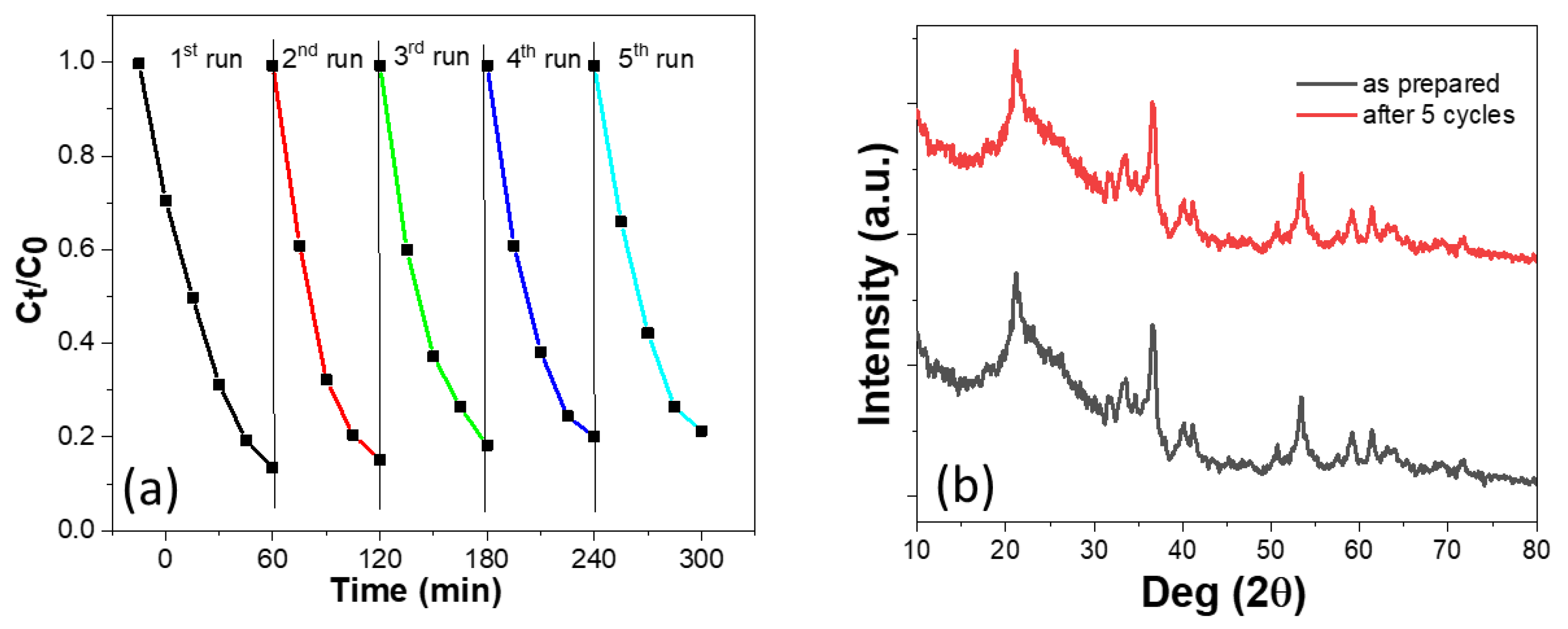 Catalysts 13 00191 g006