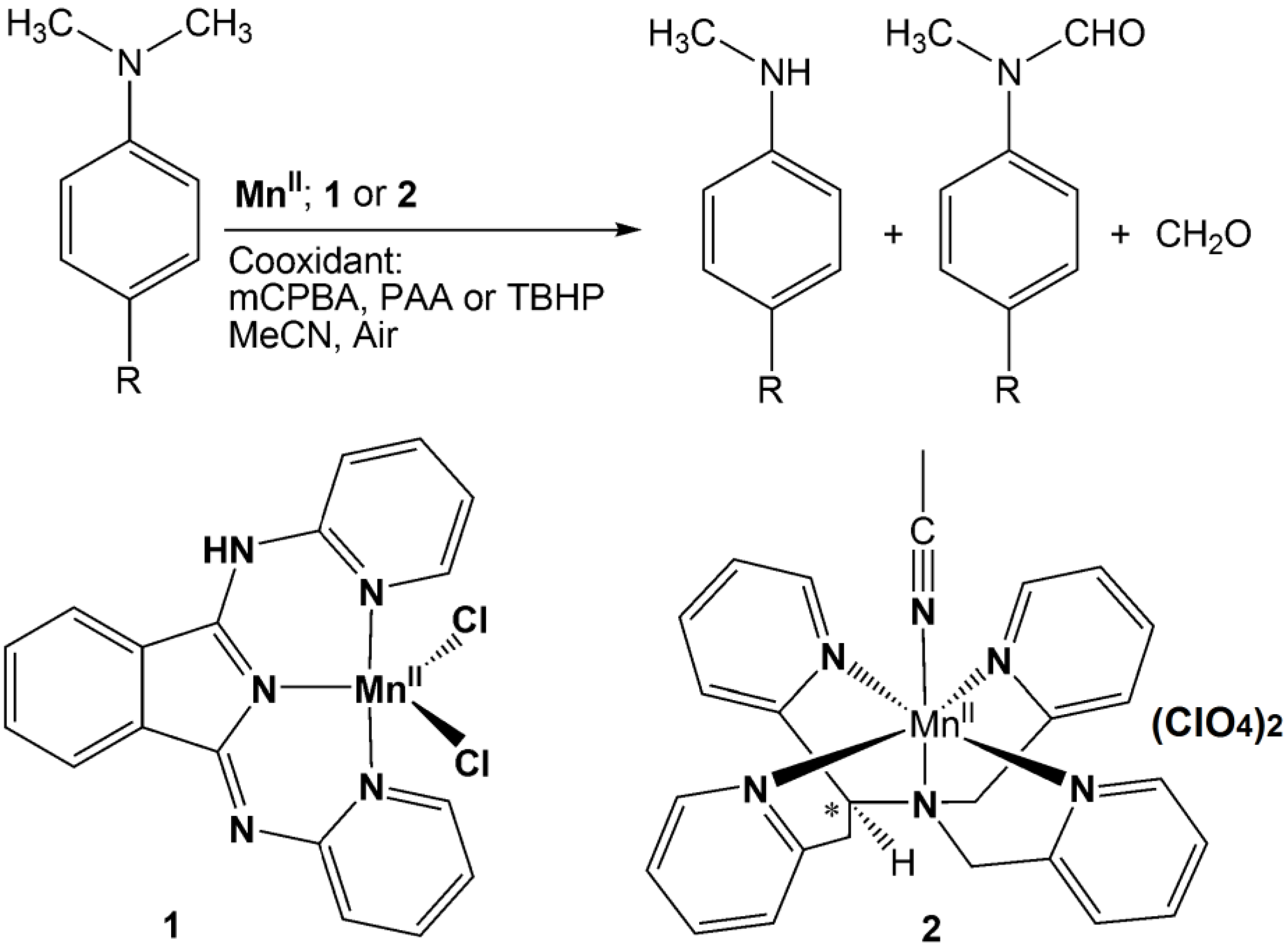Catalysts 13 00194 sch001