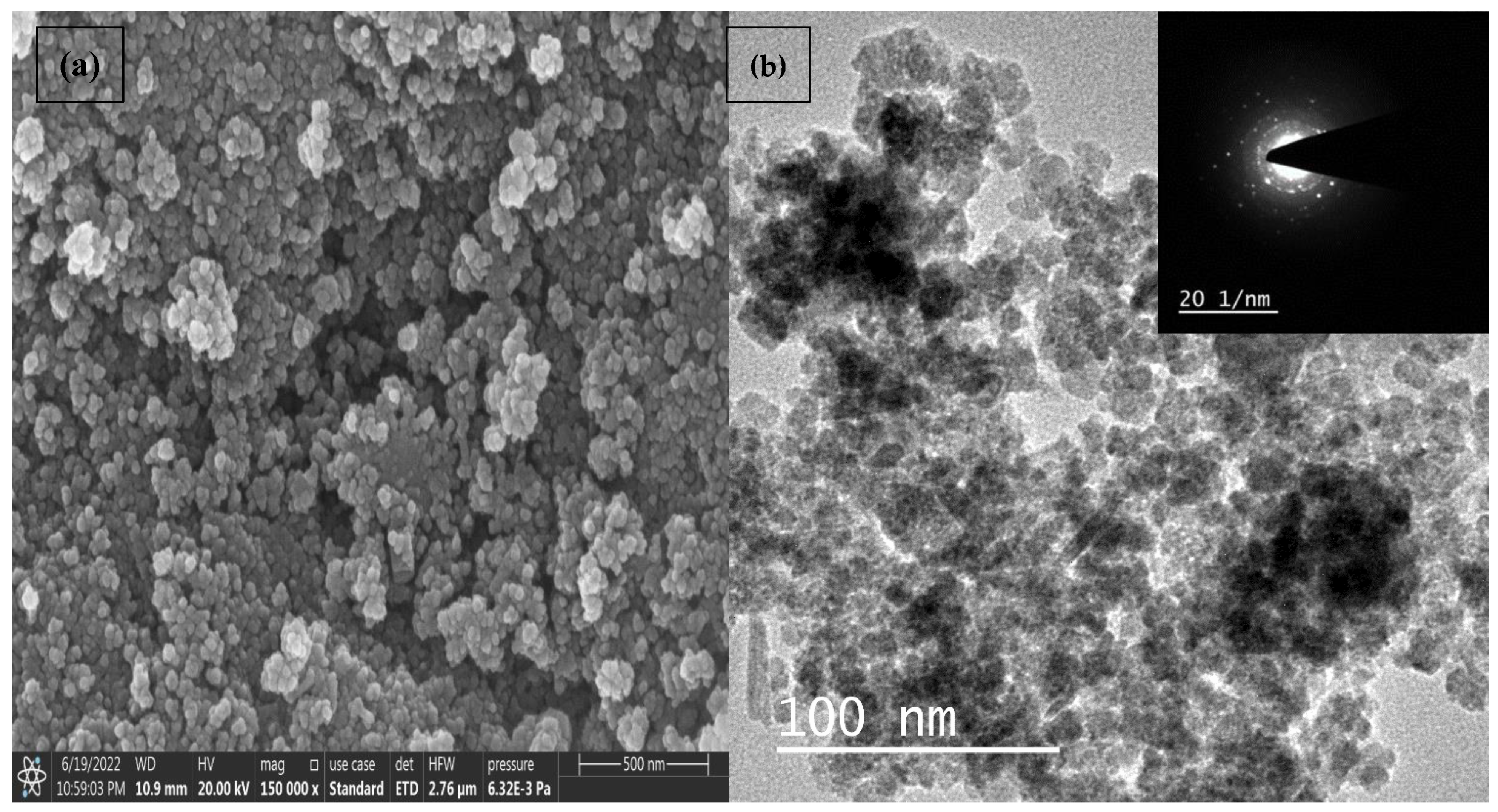 Catalysts 13 00195 g003