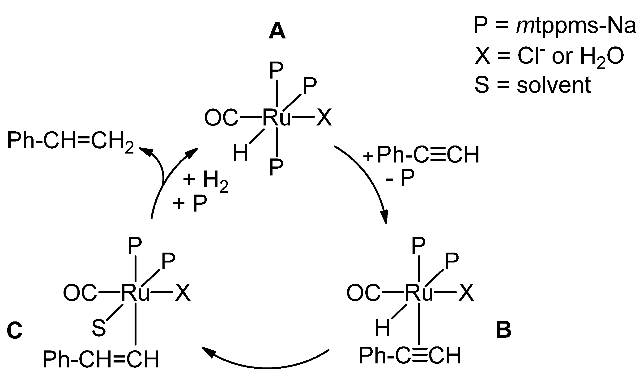 Catalysts 13 00197 g007