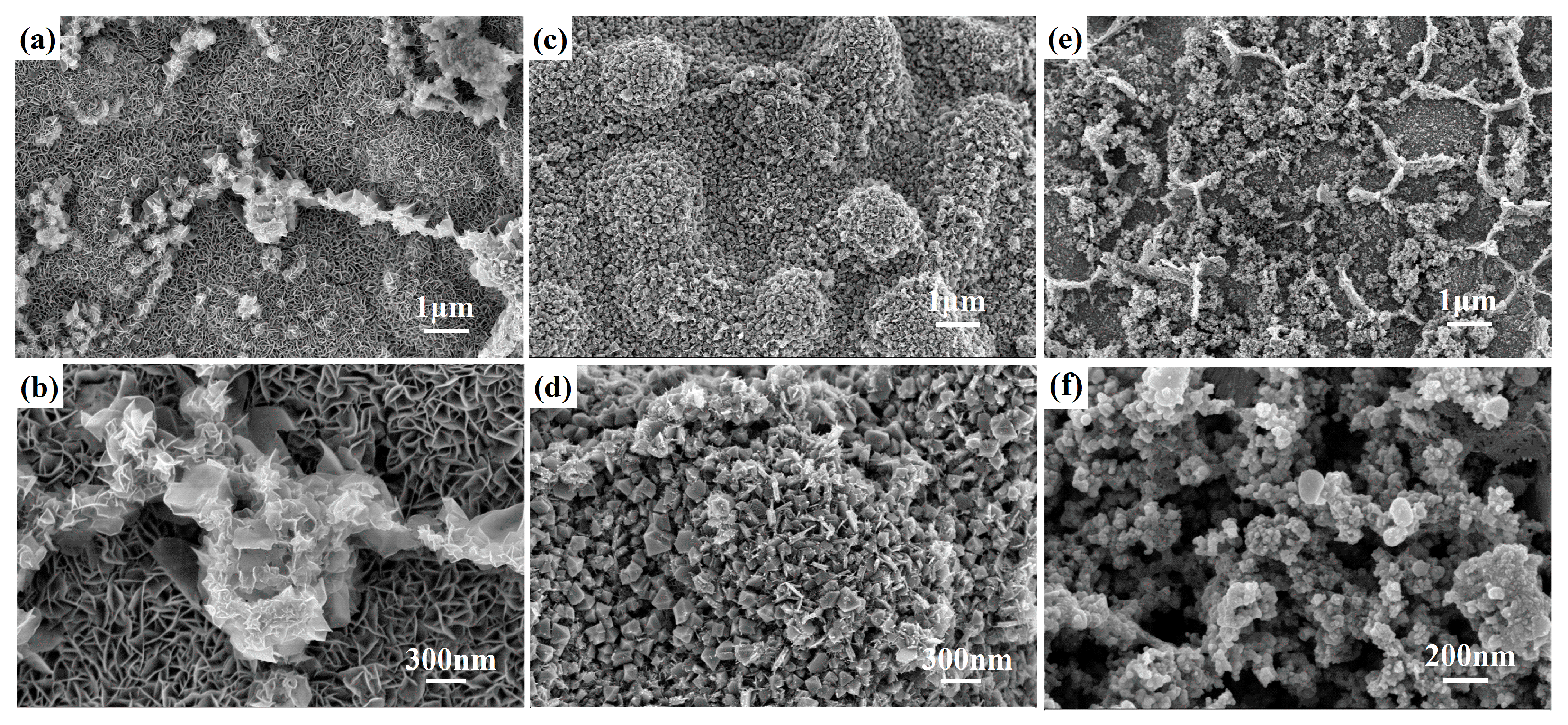 Catalysts 13 00198 g002