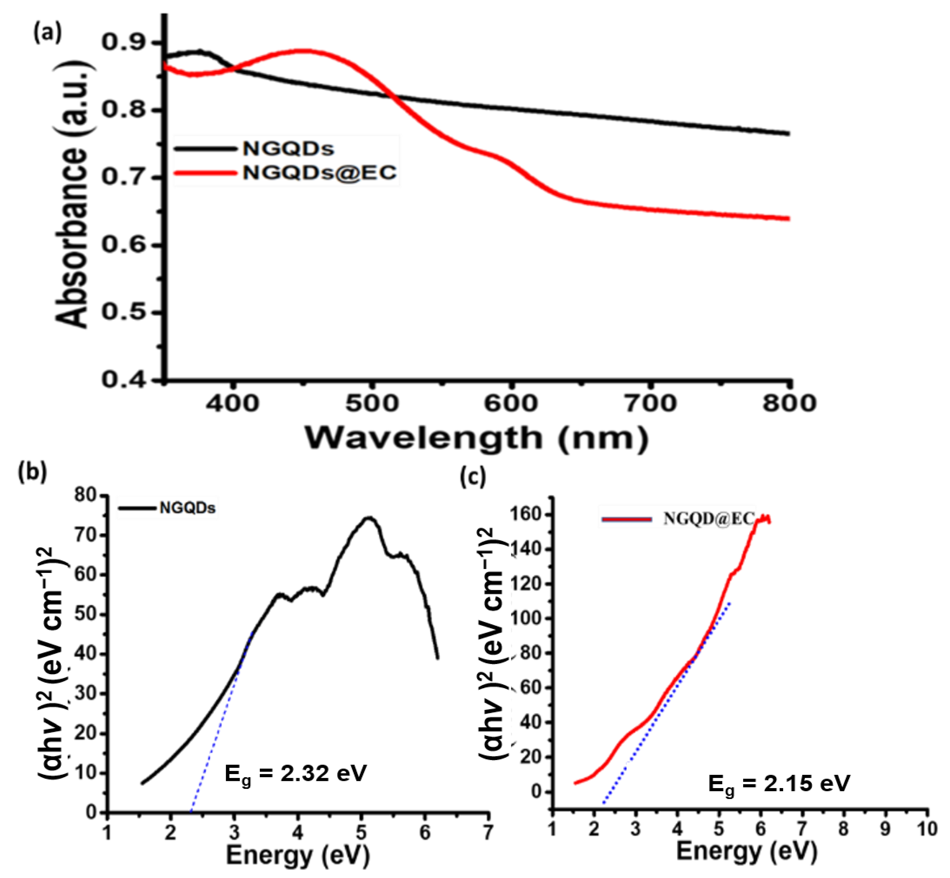 Catalysts 13 00199 g001