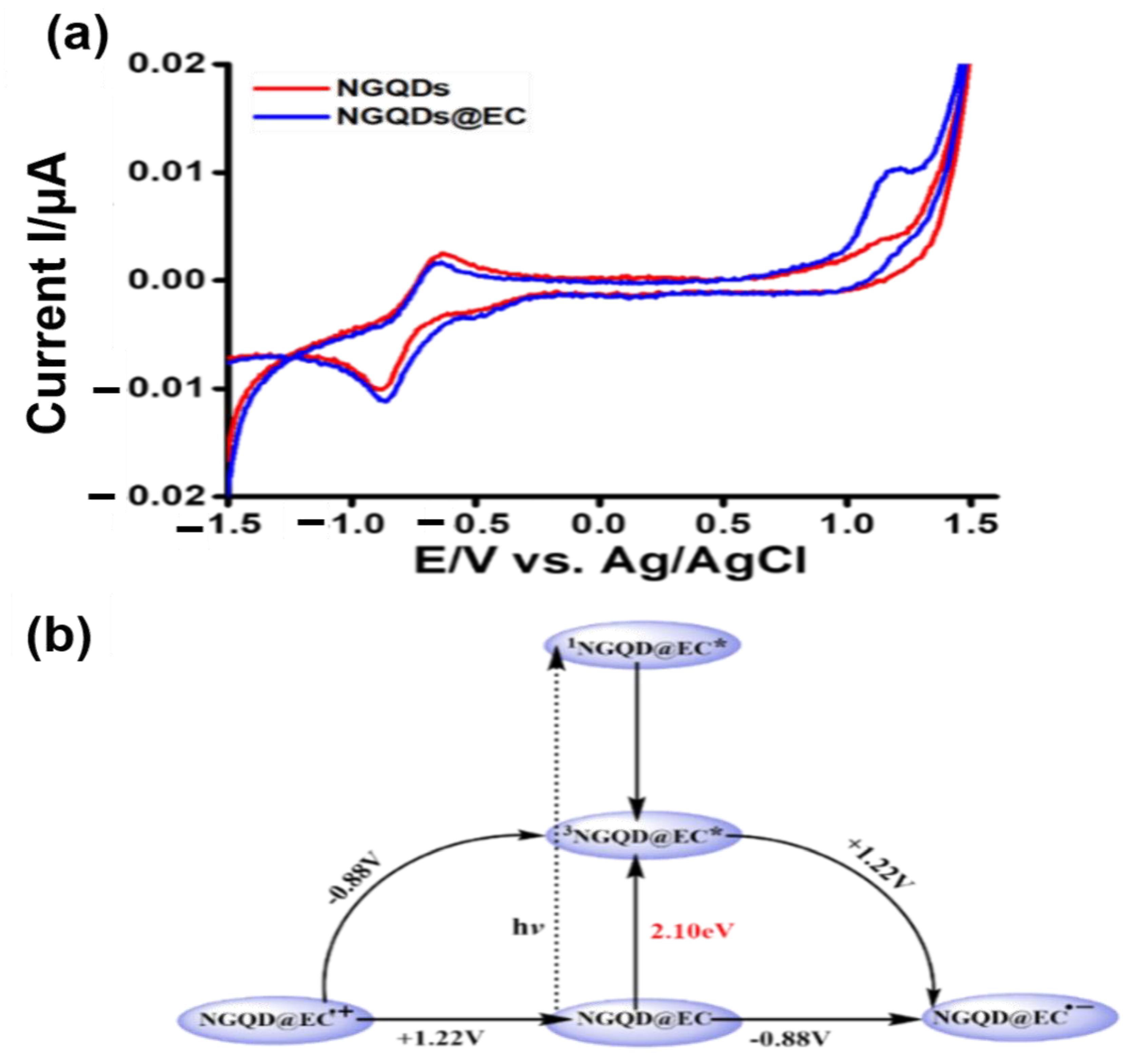 Catalysts 13 00199 g002
