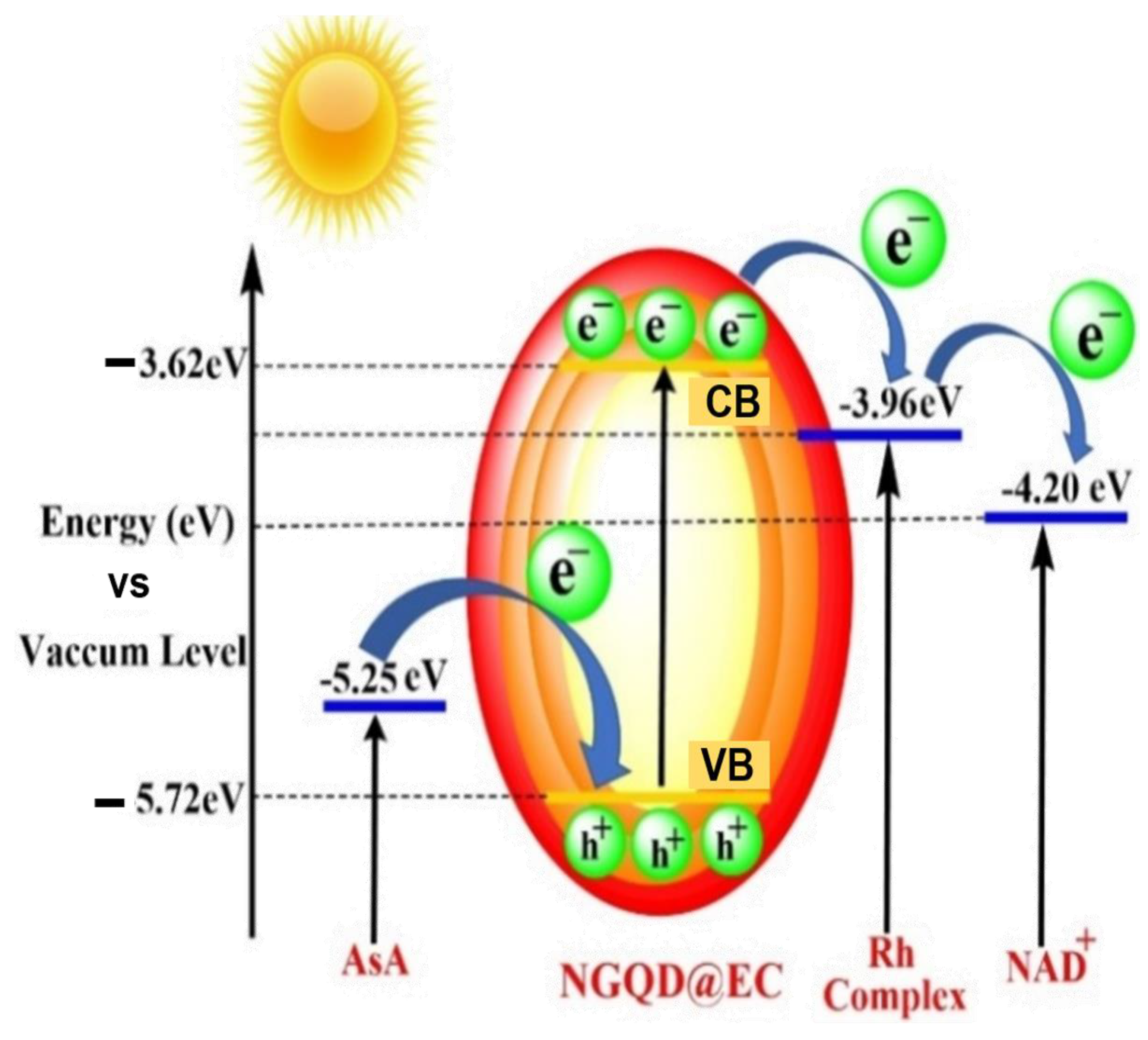 Catalysts 13 00199 sch004