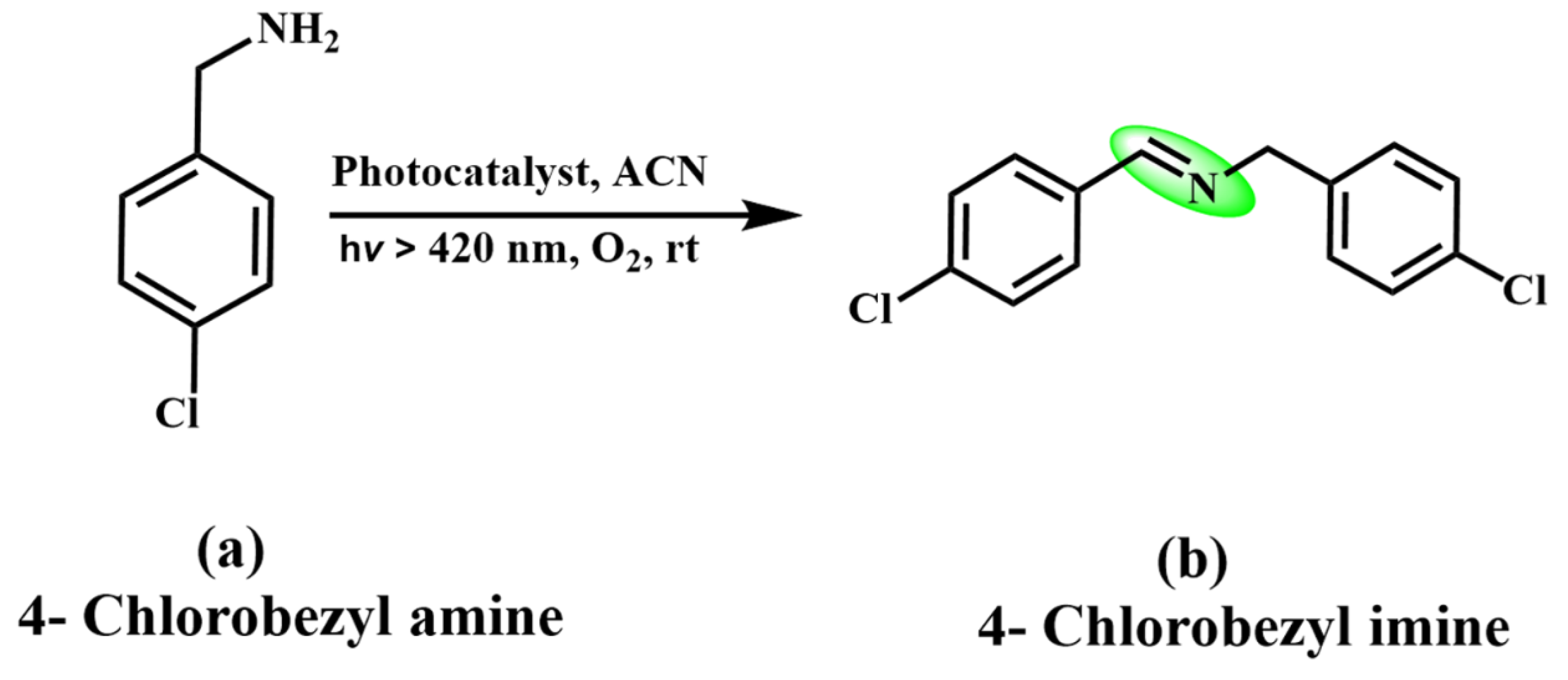 Catalysts 13 00199 sch009