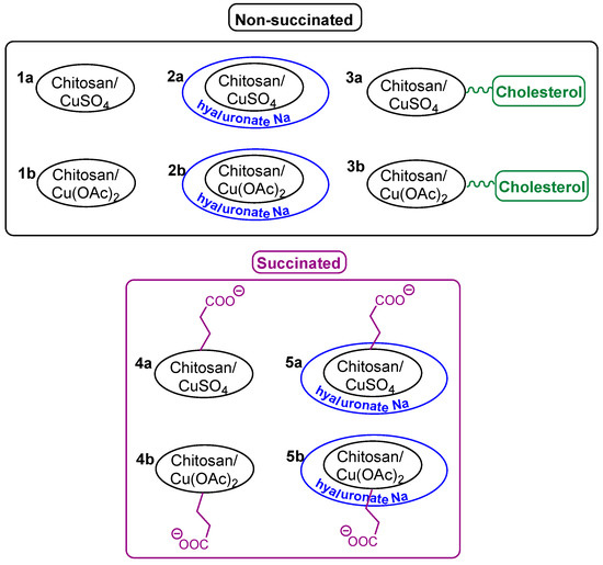 Catalysts 13 00203 g001