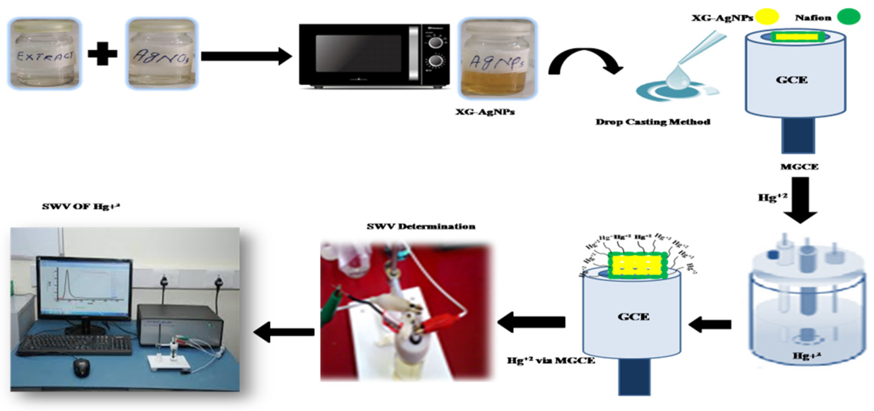 Catalysts 13 00208 g001
