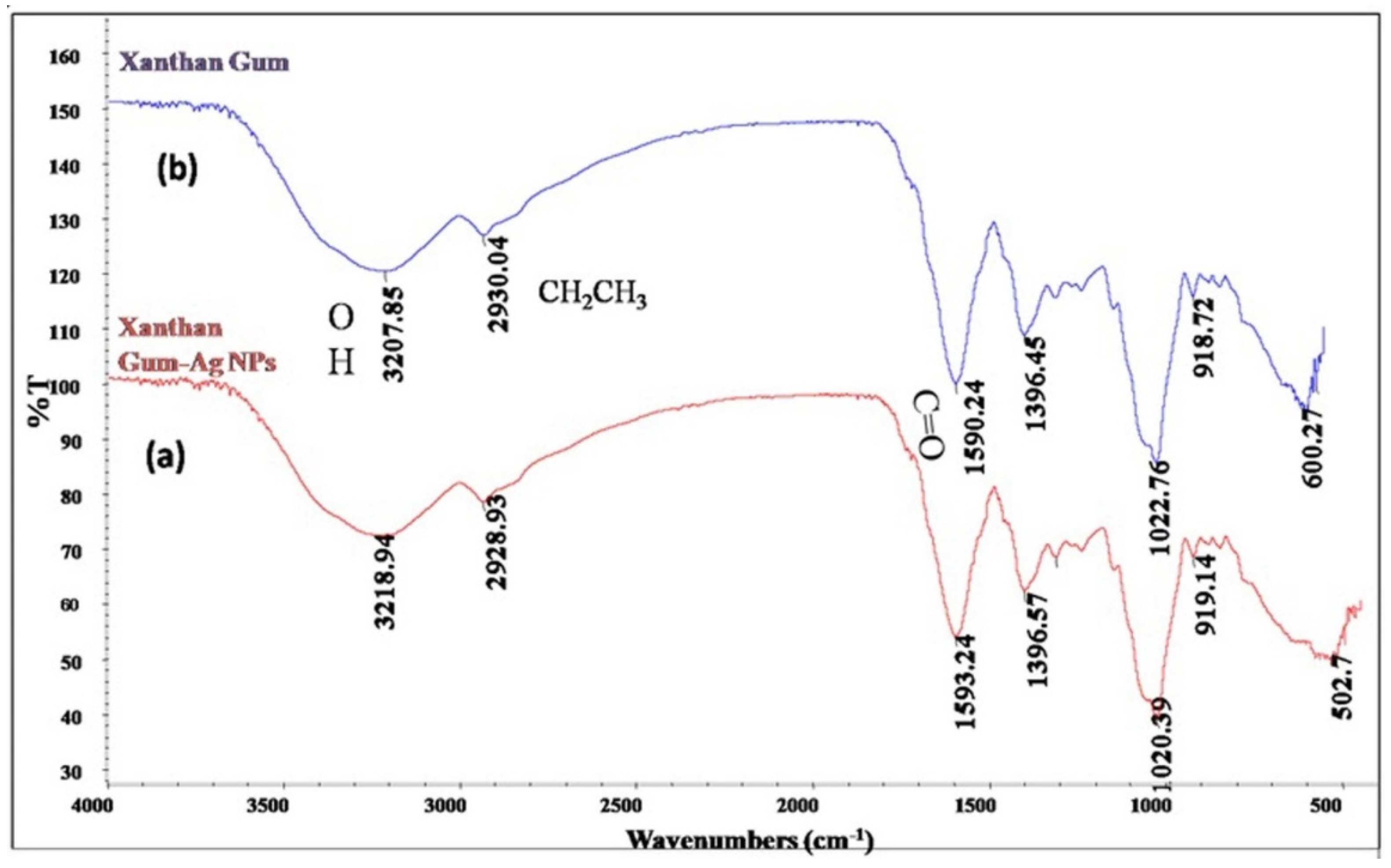 Catalysts 13 00208 g004