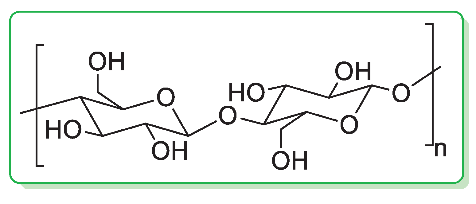 Catalysts 13 00210 g001