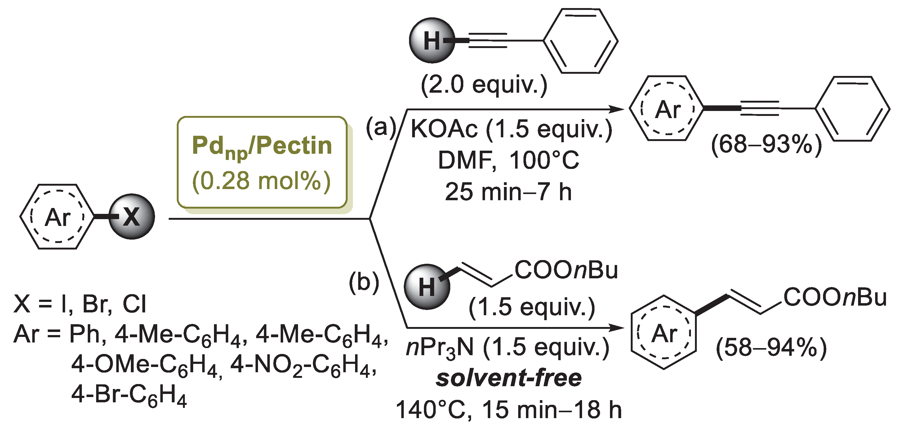Catalysts 13 00210 sch014