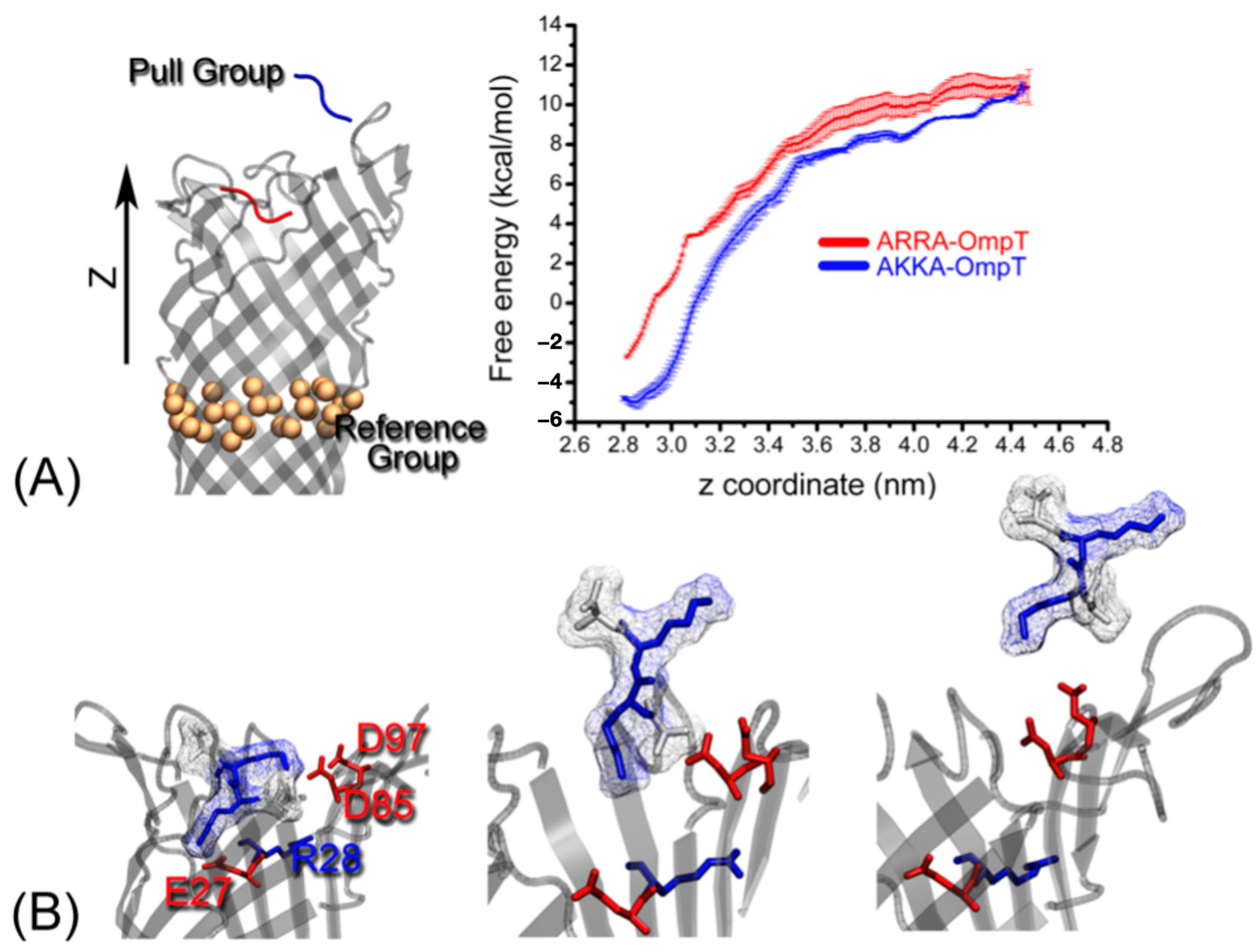 Catalysts 13 00214 g006