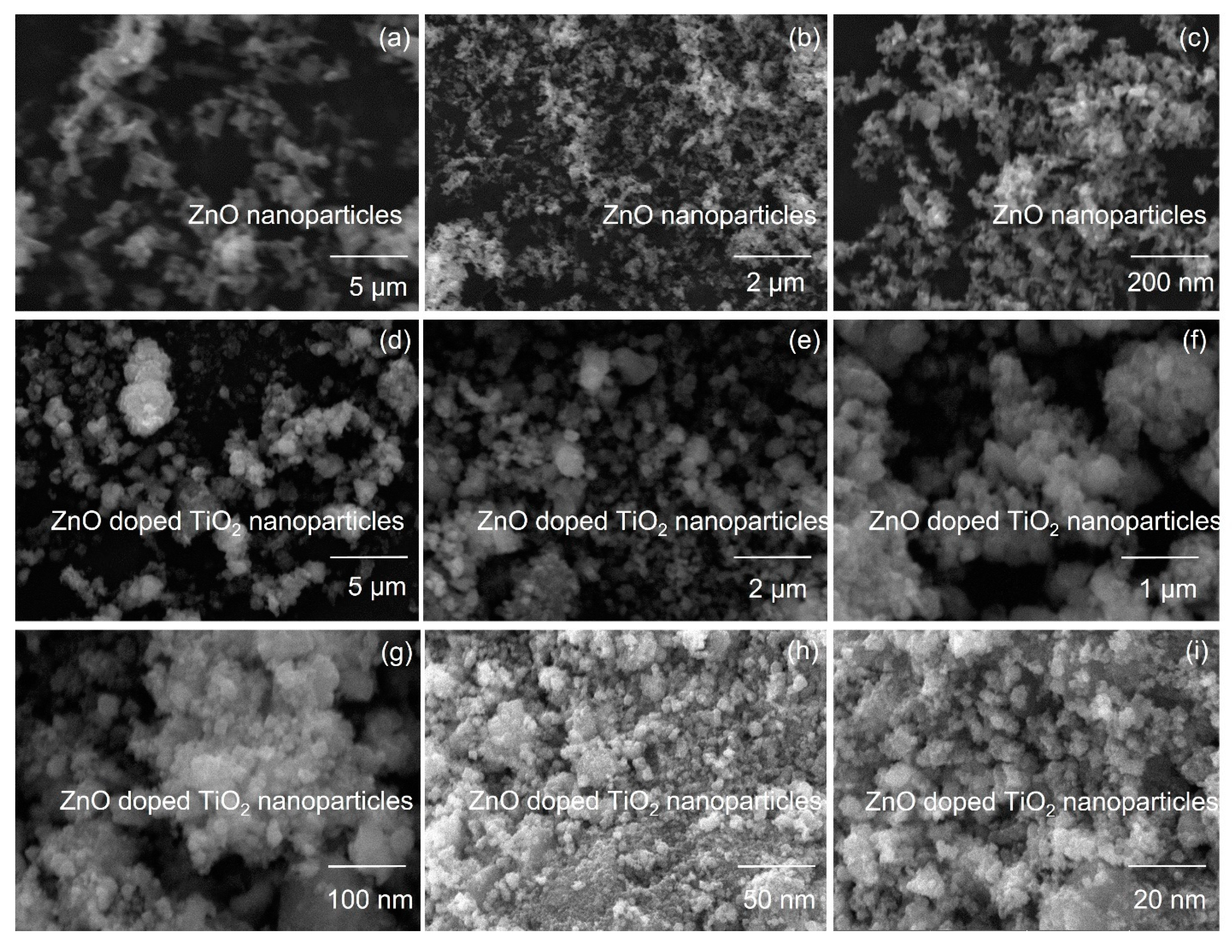 Catalysts 13 00215 g002