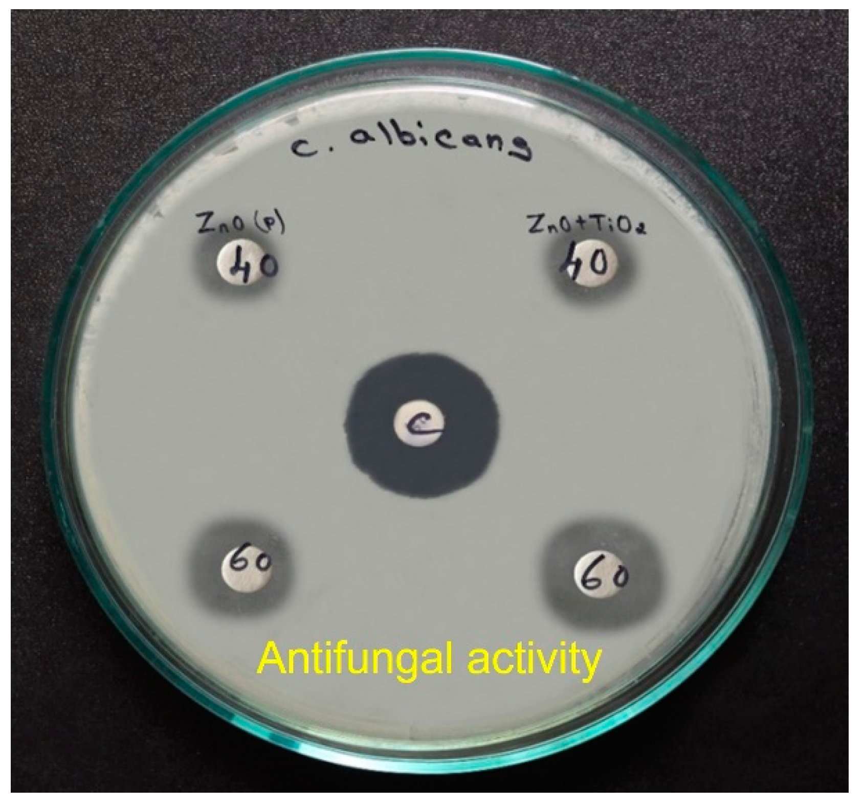 Catalysts 13 00215 g014