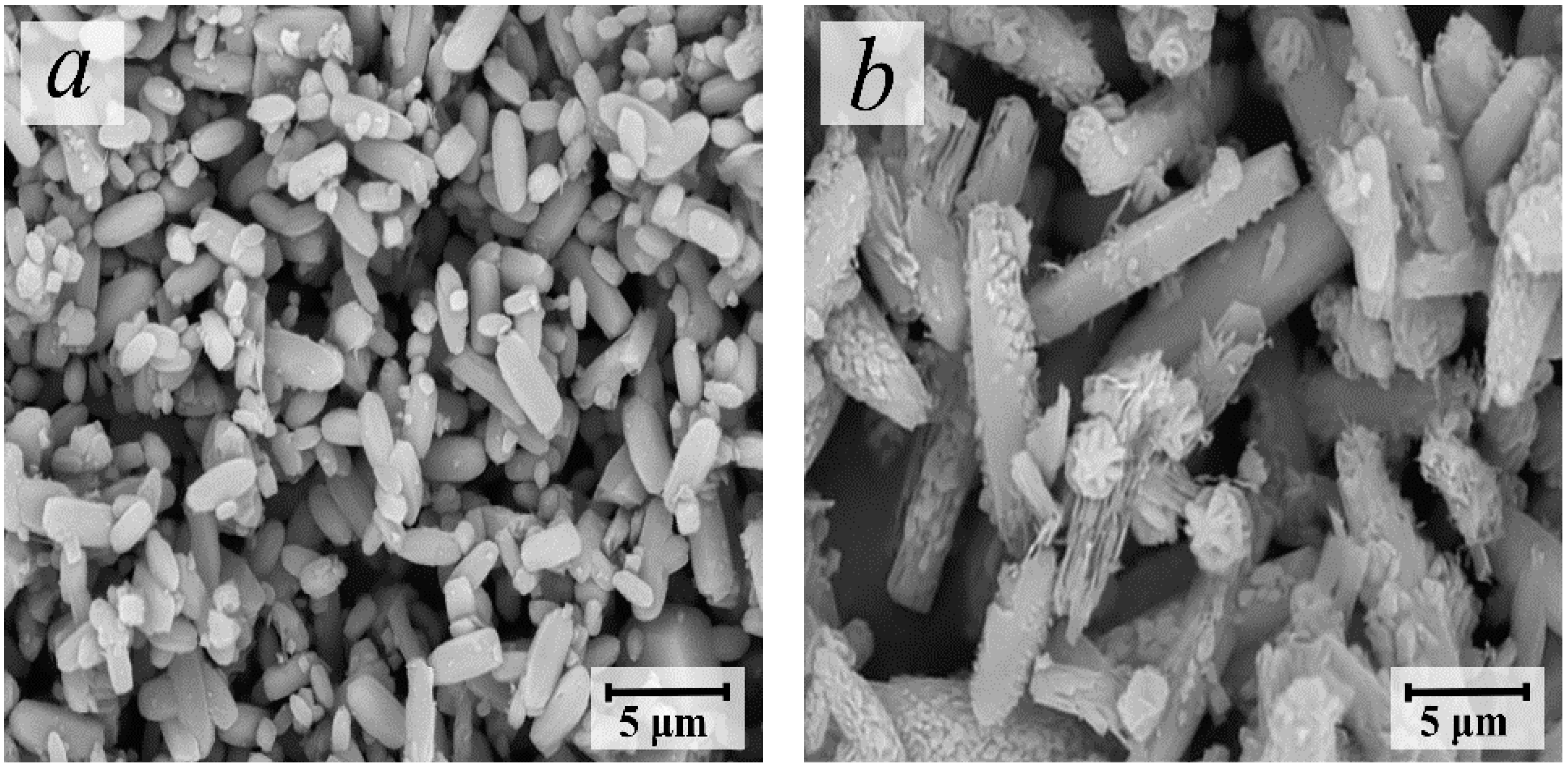 Catalysts 13 00216 g003a Catalysts 13 00216 g003a