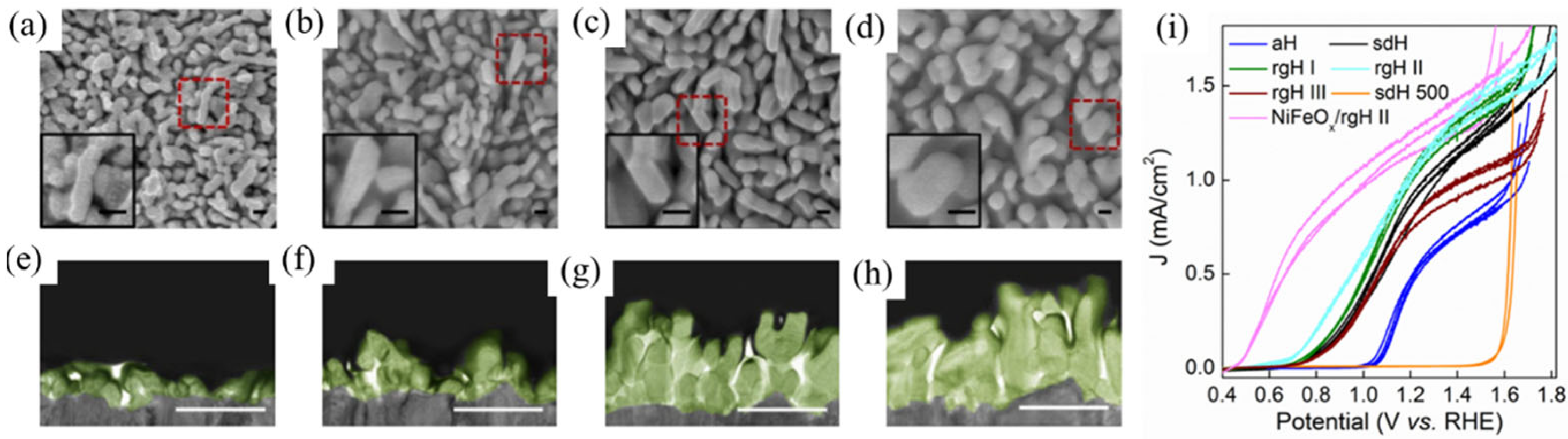 Catalysts 13 00217 g001 Catalysts 13 00217 g001