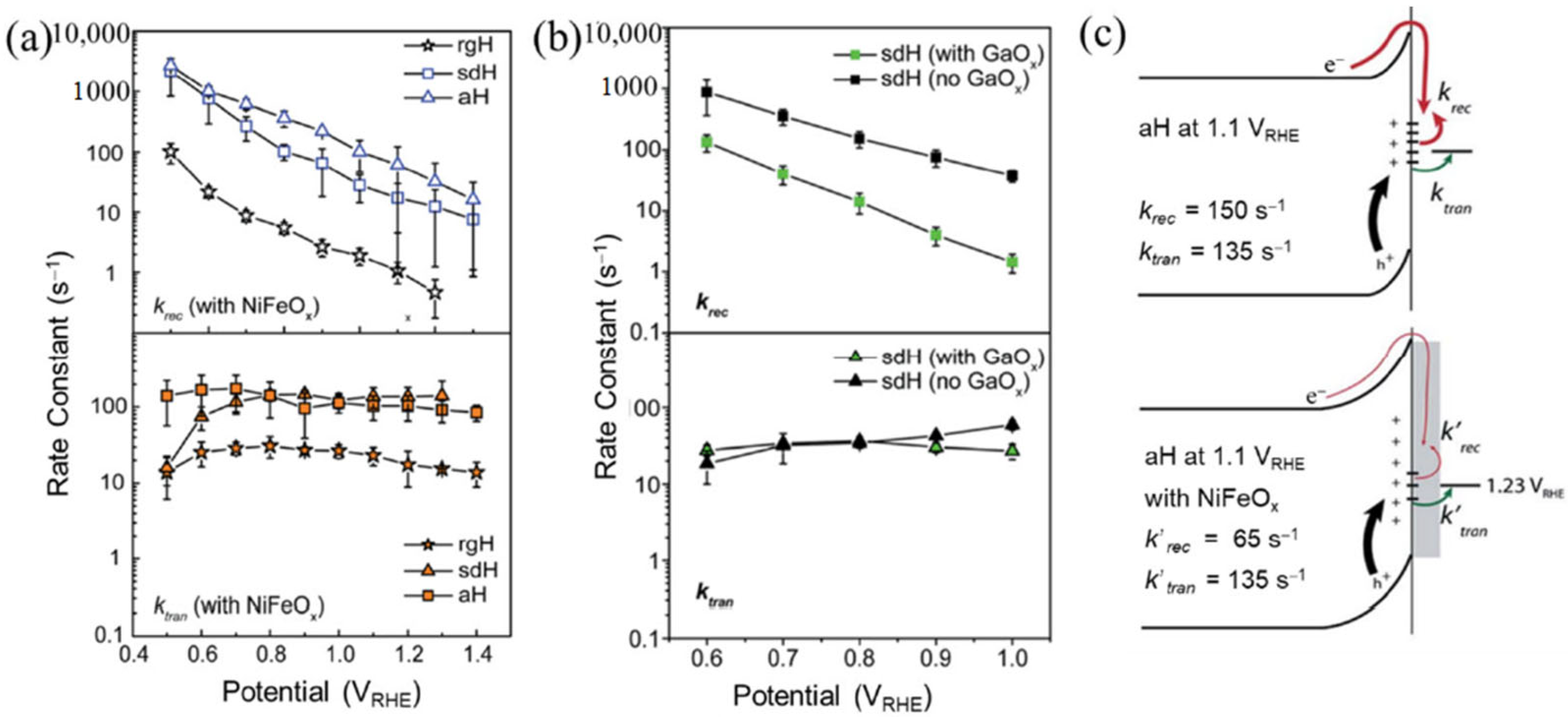Catalysts 13 00217 g004 Catalysts 13 00217 g004