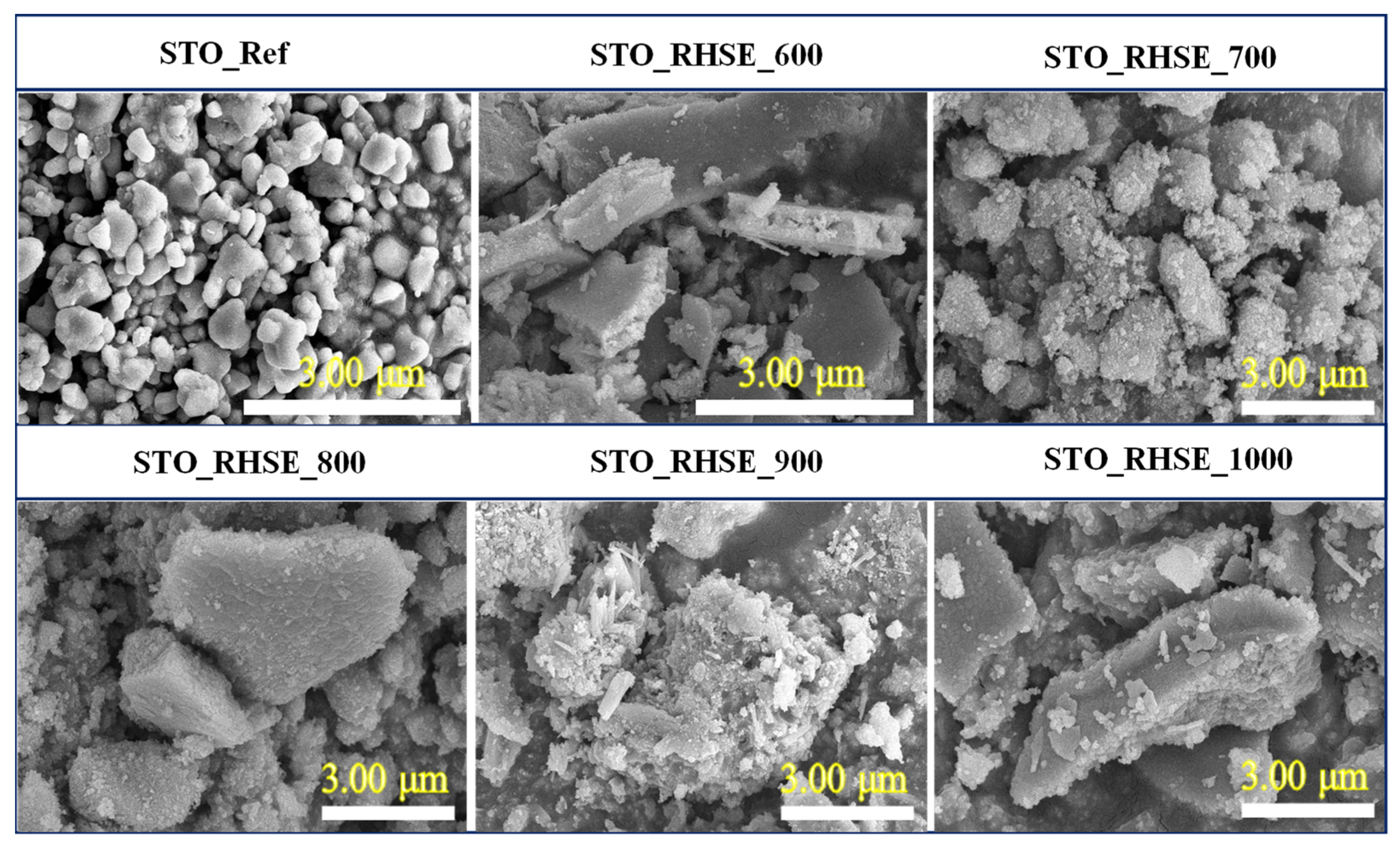 Catalysts 13 00219 g002 Catalysts 13 00219 g002