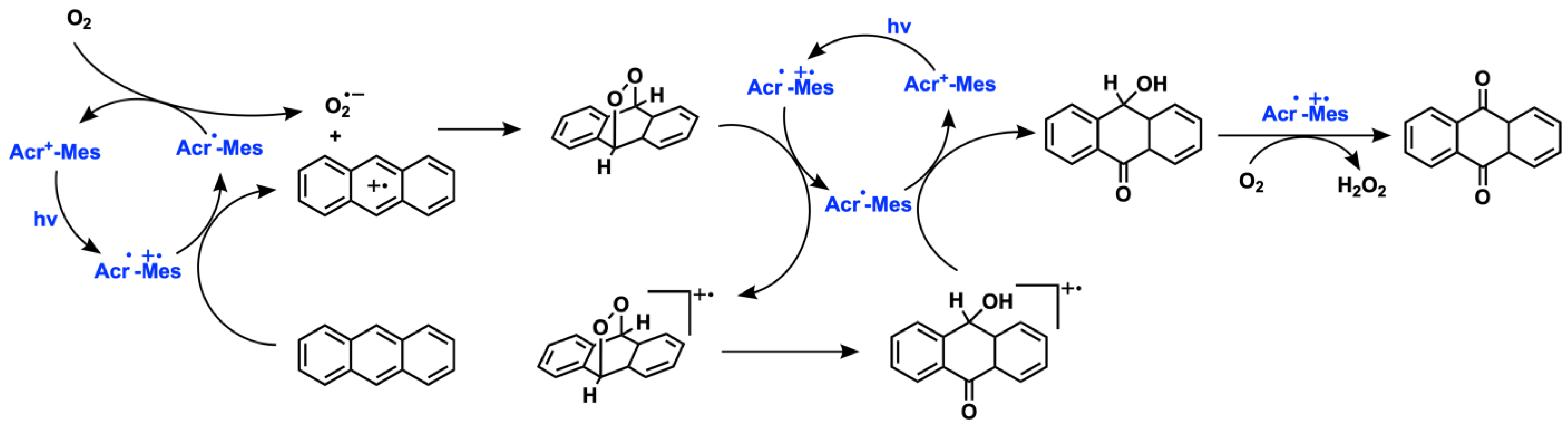Catalysts 13 00220 sch013